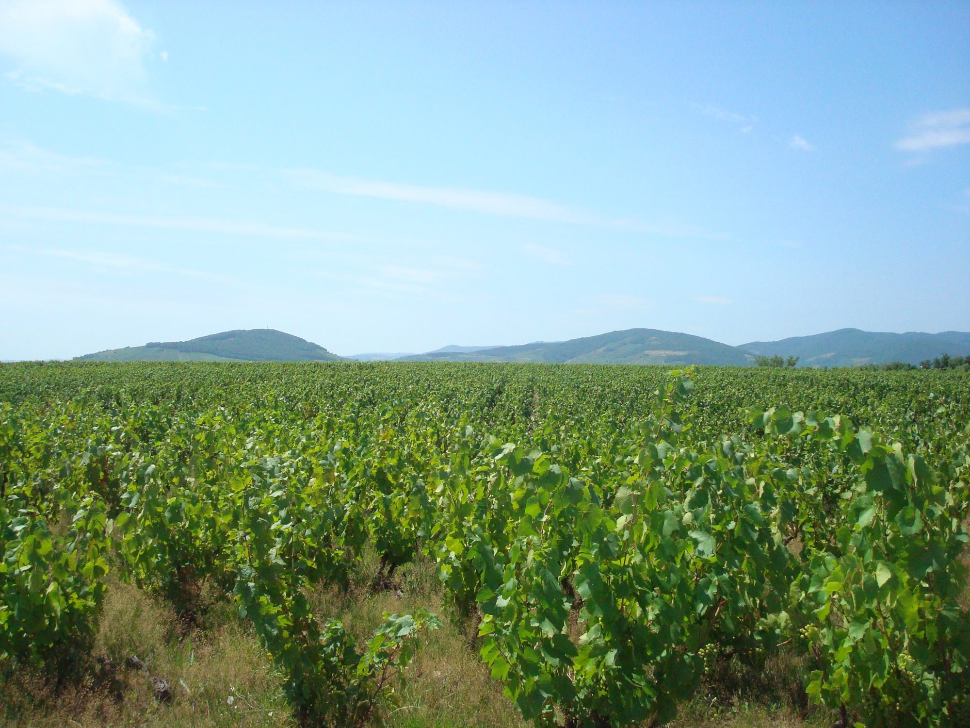 Photo 2 — AGENCIMMO