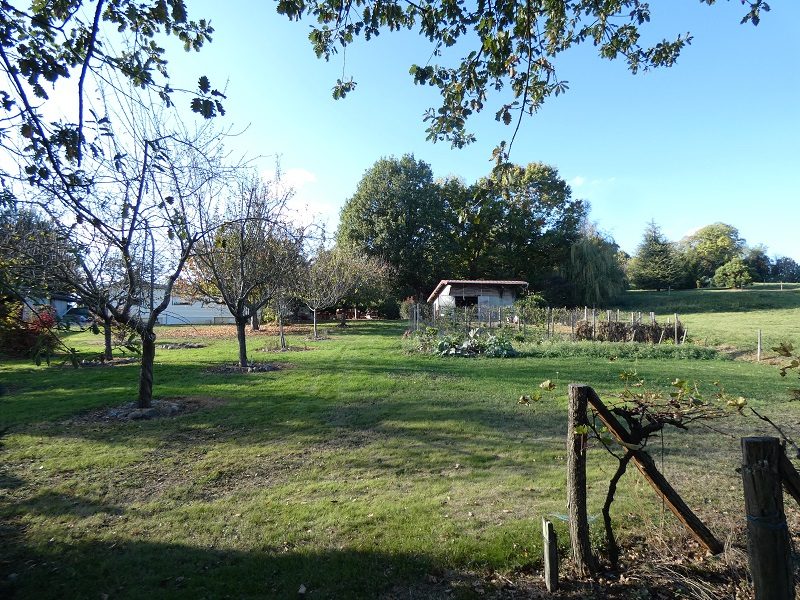Photo 19 — AGENCIMMO