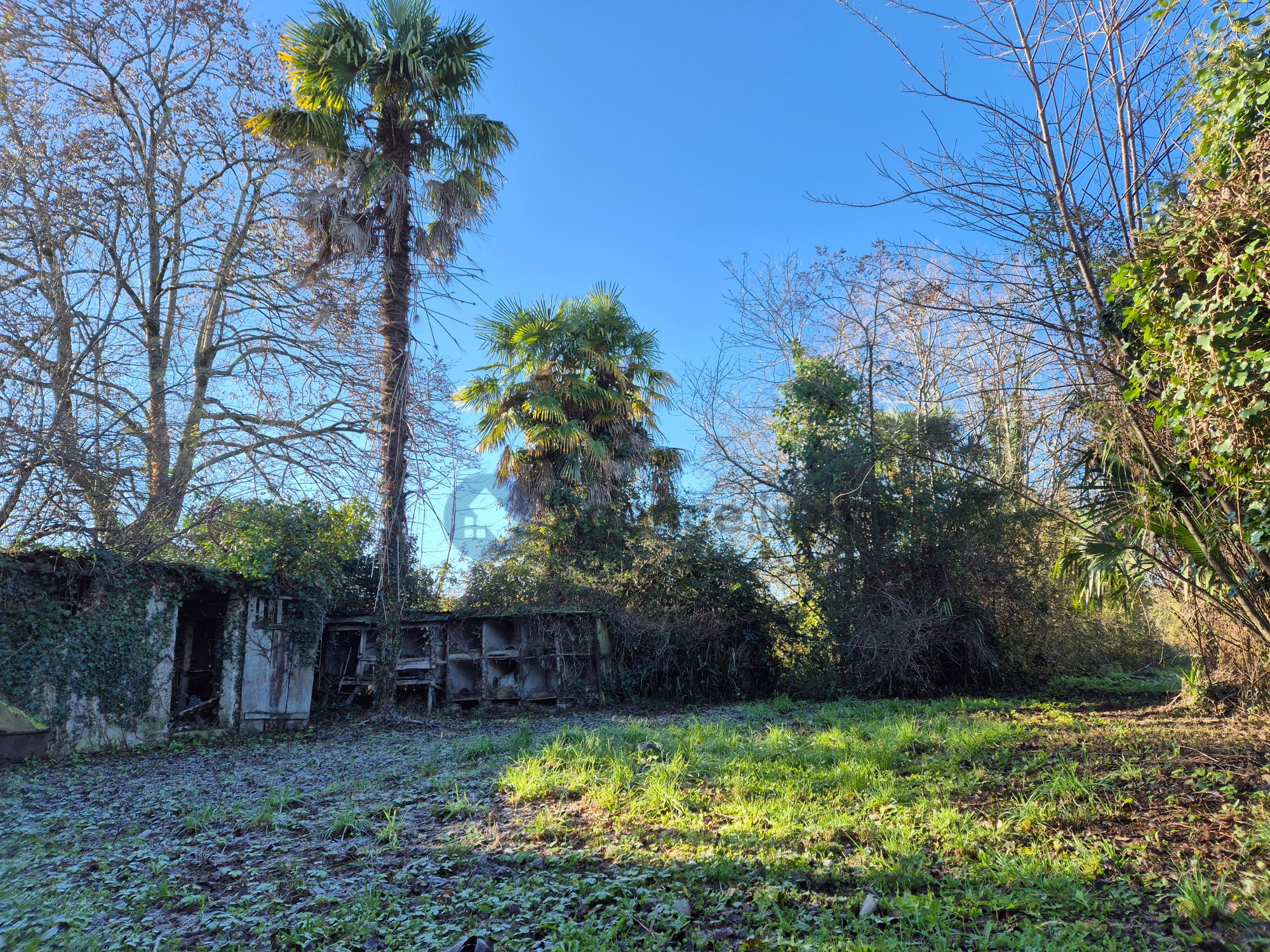 Photo 16 — AGENCIMMO