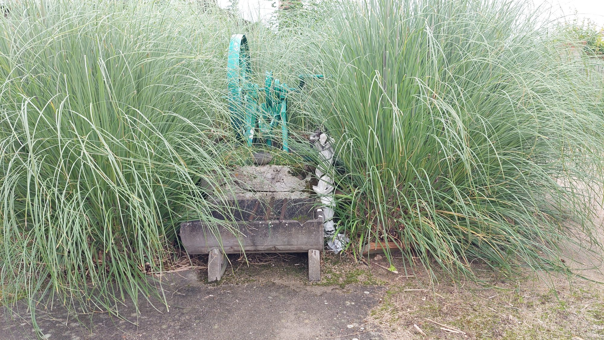Photo 16 — AGENCIMMO