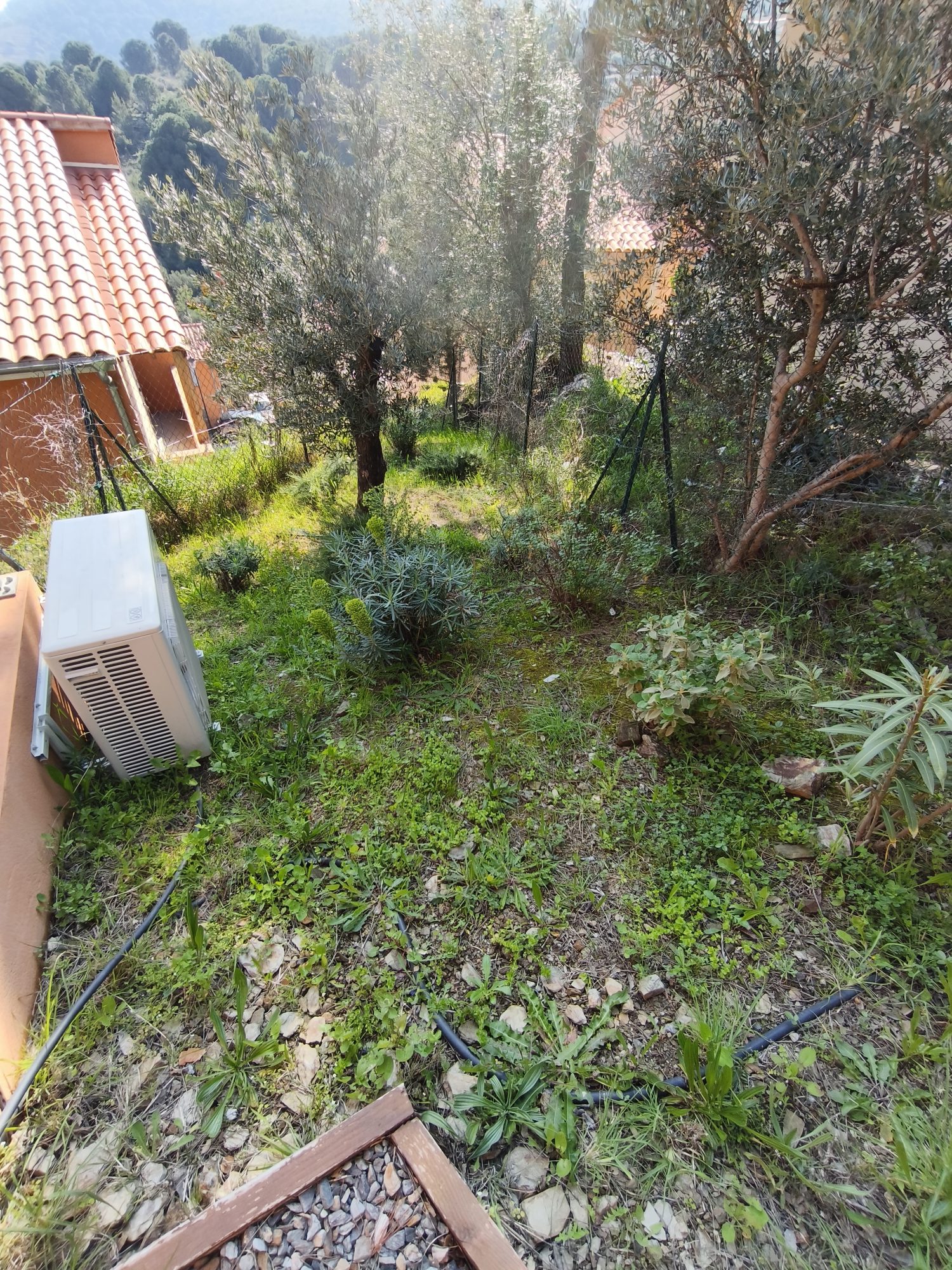 Photo 15 — AGENCIMMO