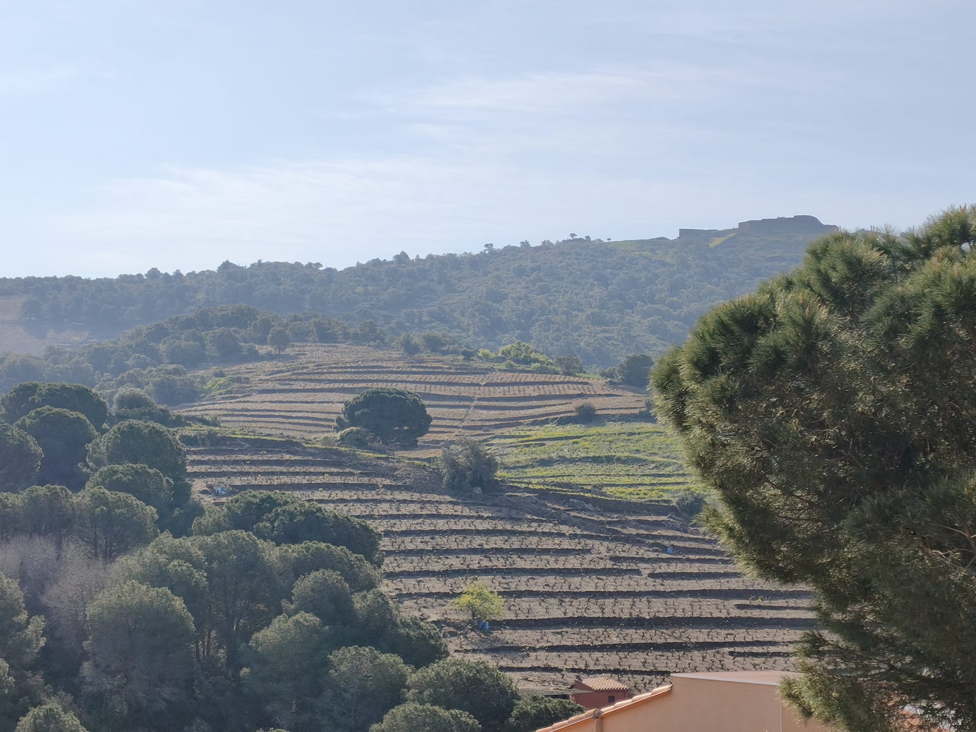 Photo 3 — AGENCIMMO