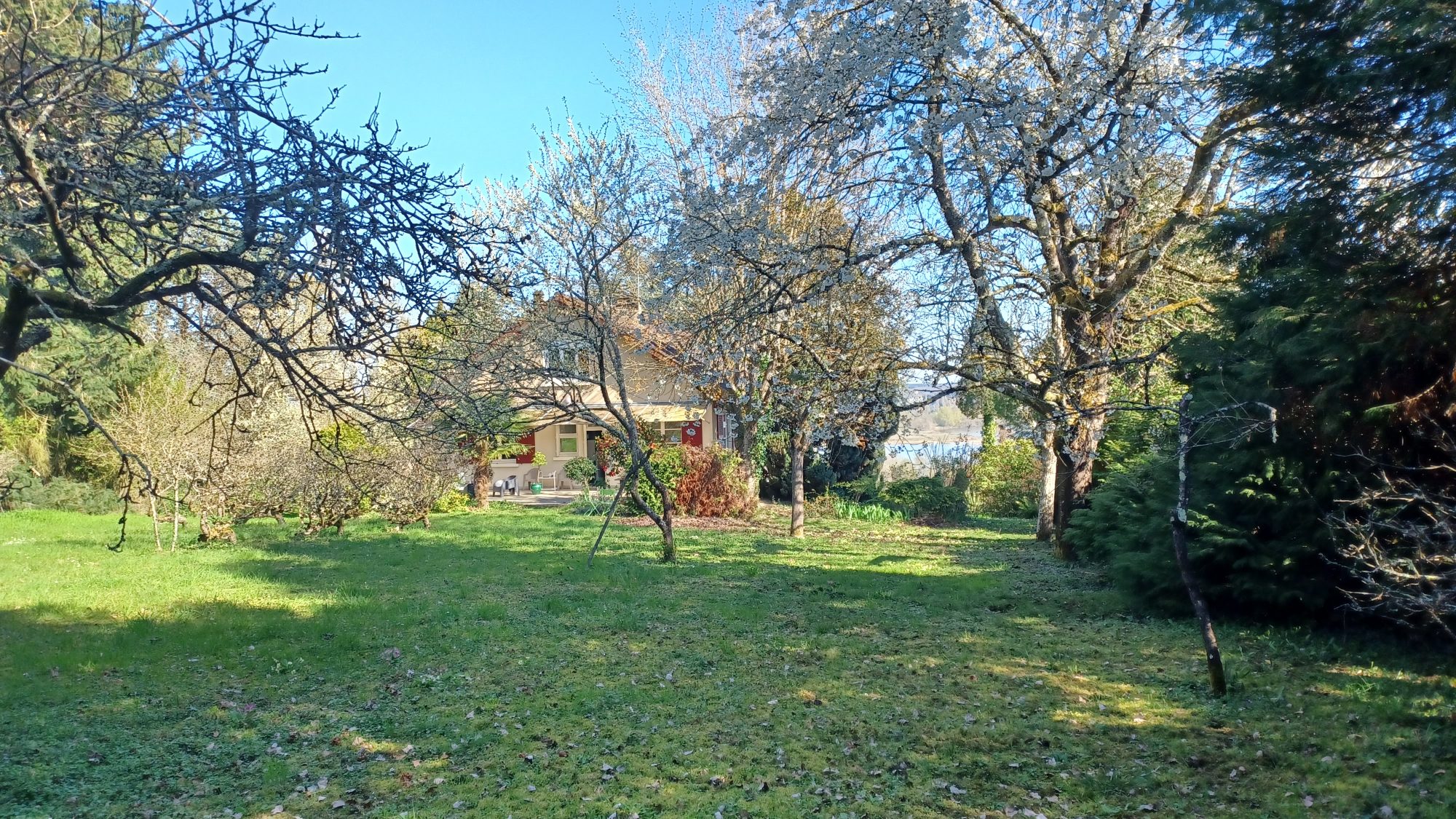 Photo 7 — AGENCIMMO