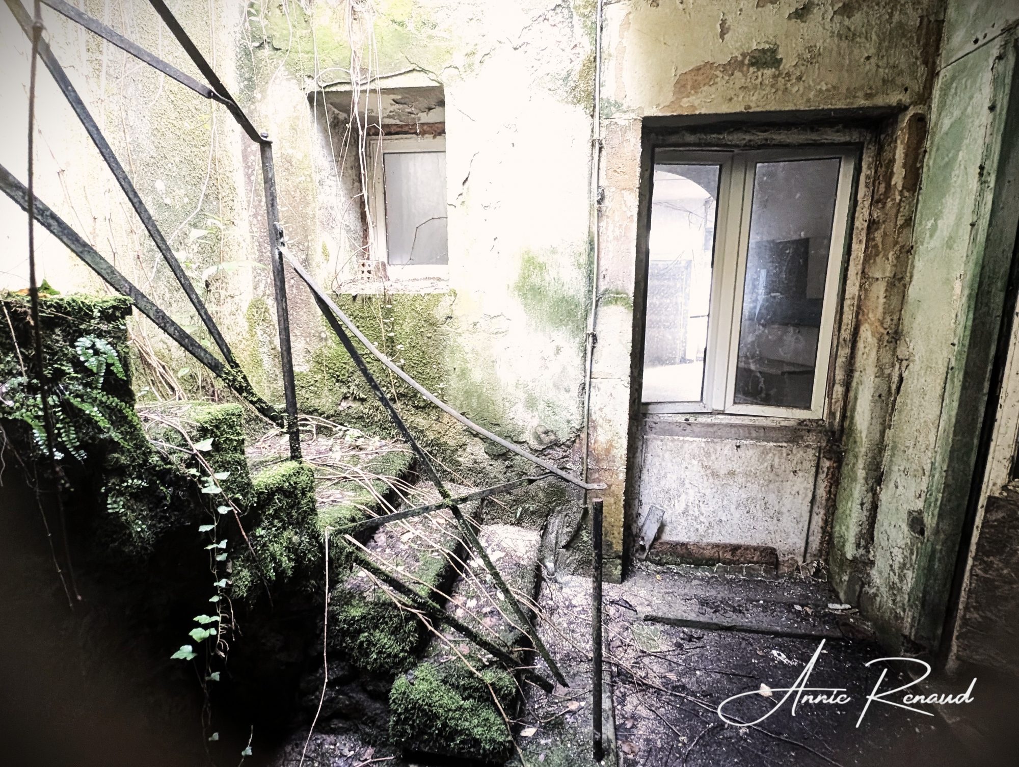 Photo 7 — AGENCIMMO