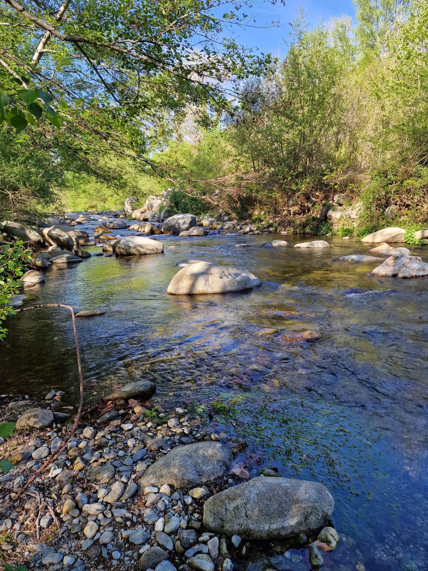 Photo 14 — AGENCIMMO