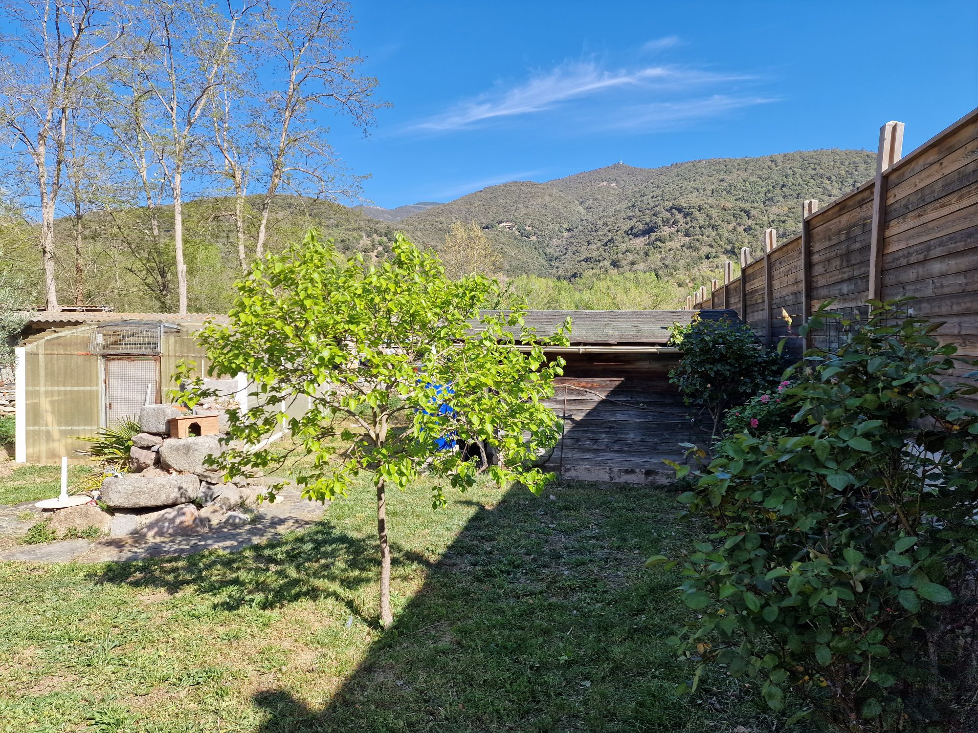 Photo 16 — AGENCIMMO