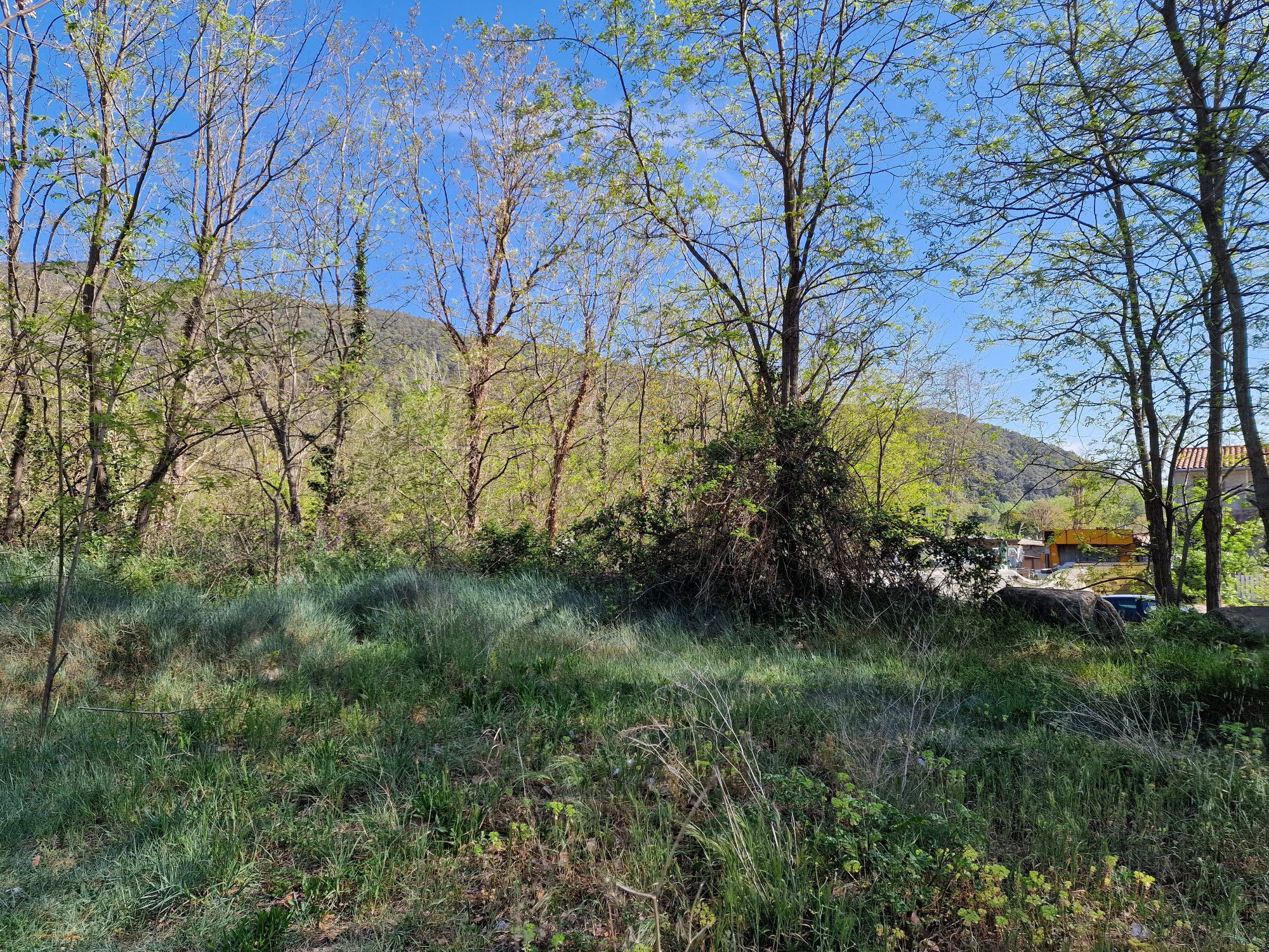 Photo 12 — AGENCIMMO