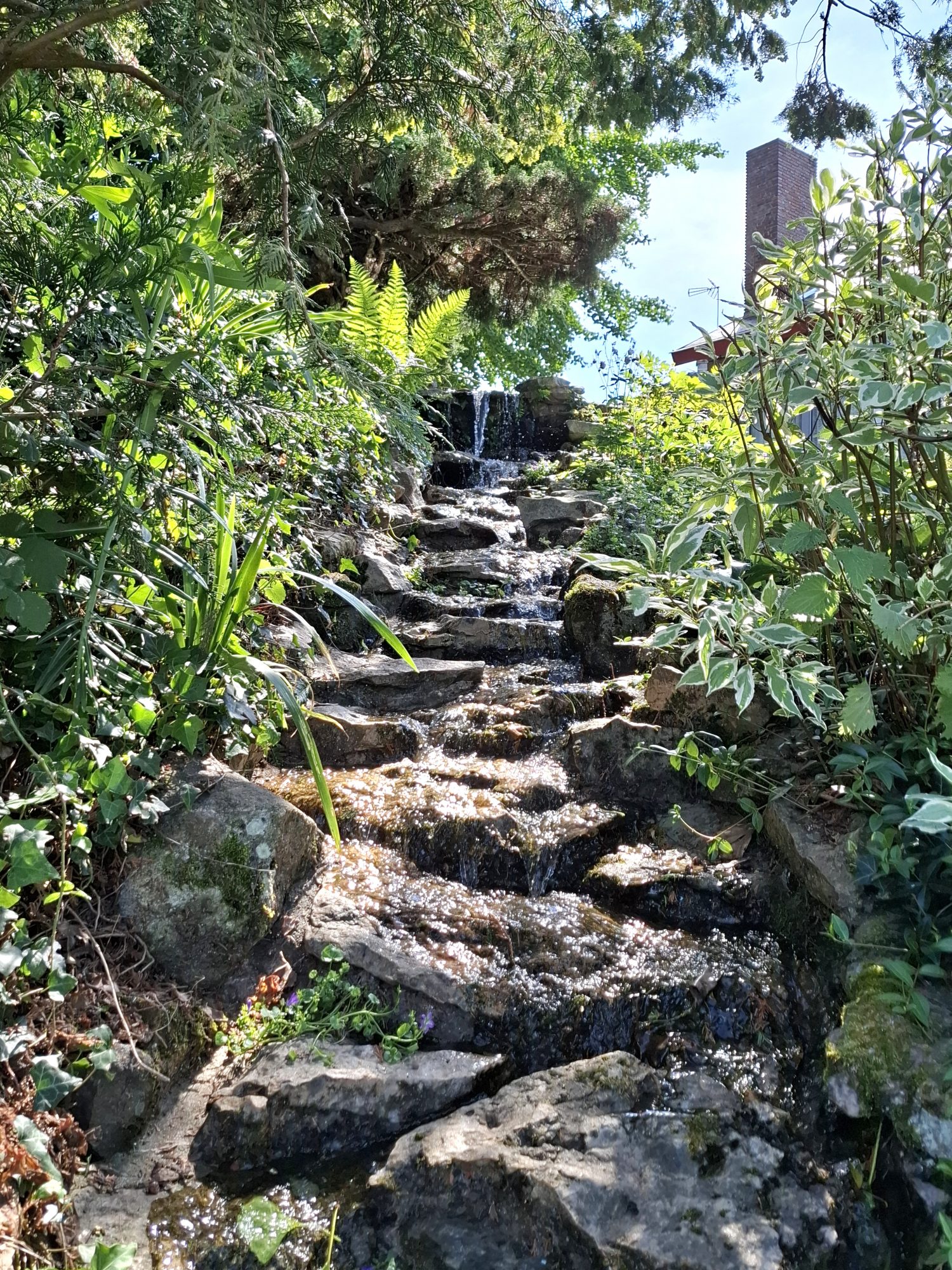 Photo 6 — AGENCIMMO