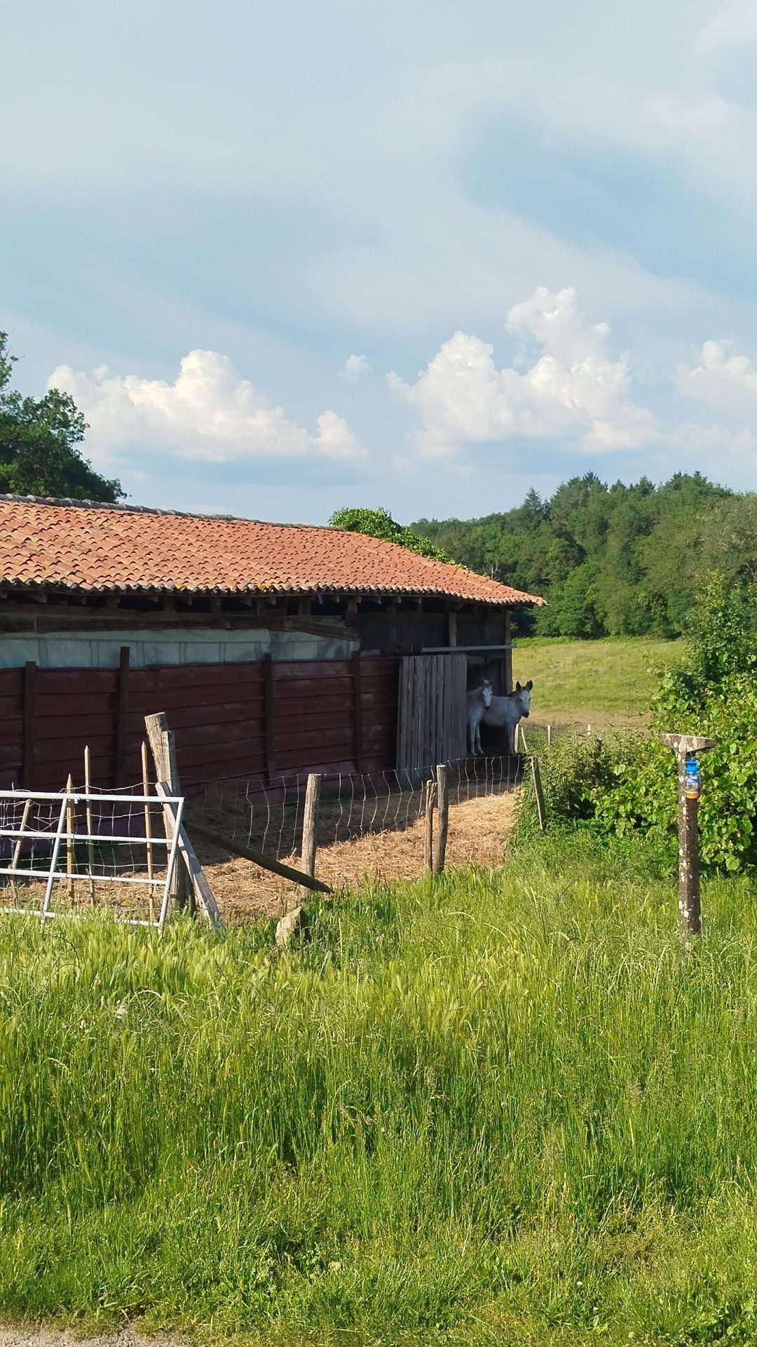 Photo 25 — AGENCIMMO