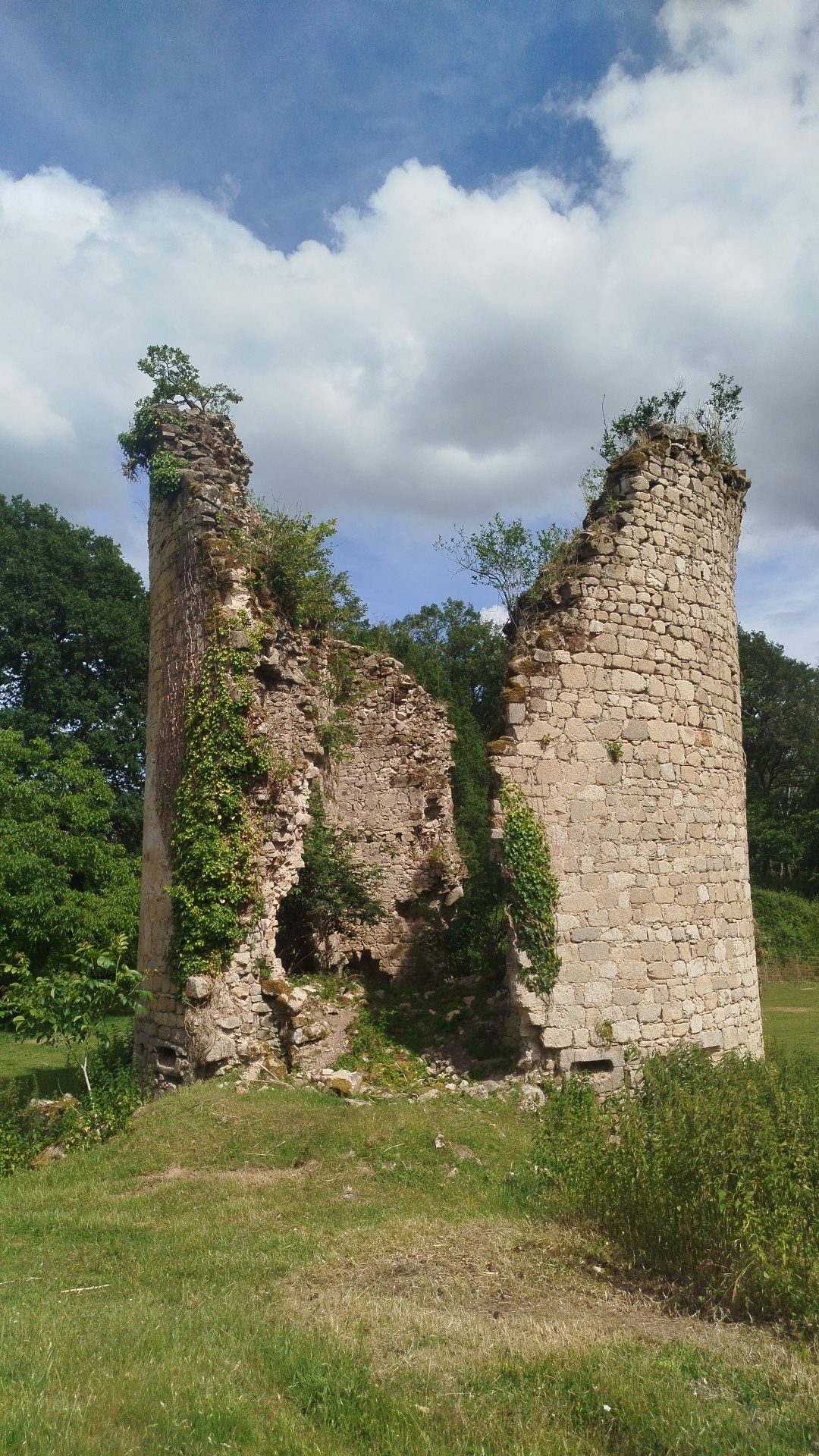 Photo 5 — AGENCIMMO