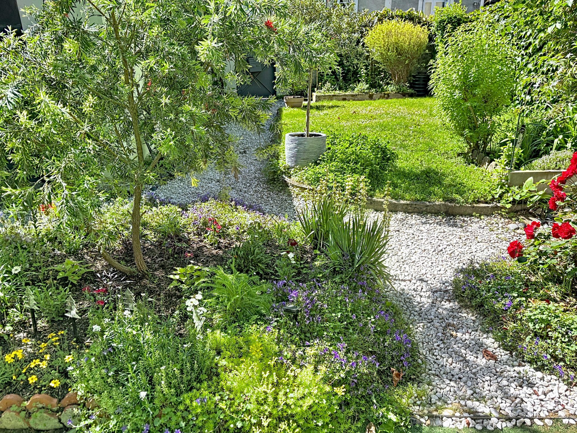 Photo 3 — AGENCIMMO