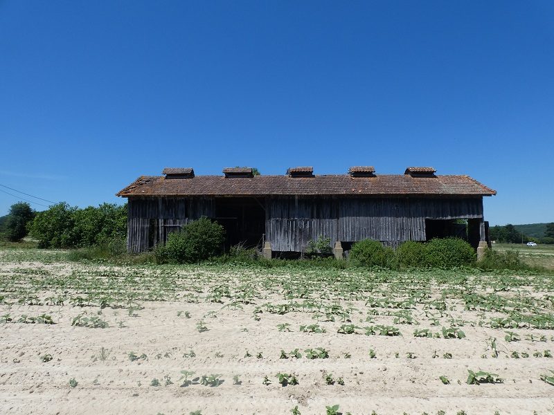 Photo 16 — AGENCIMMO