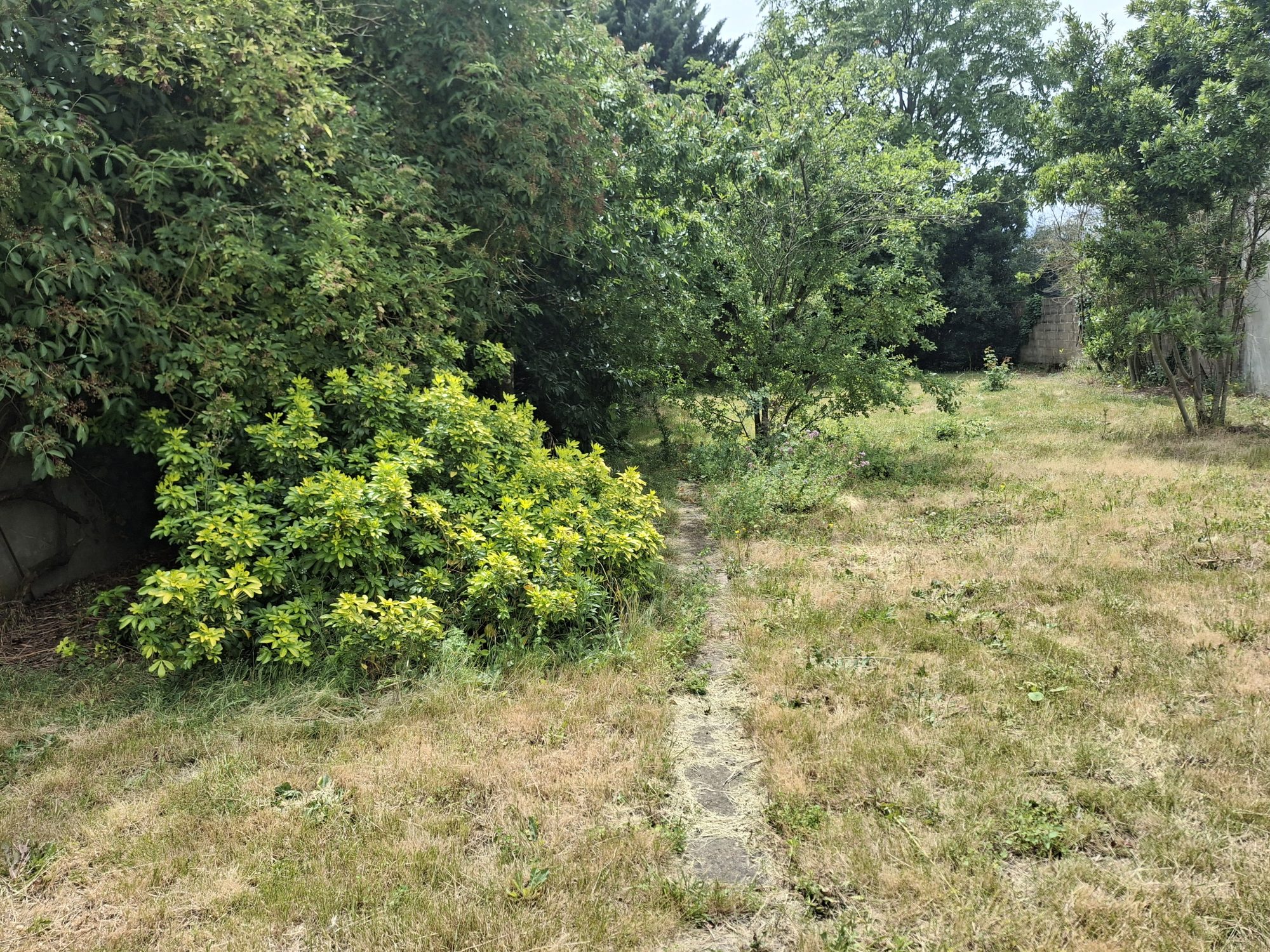 Photo 2 — AGENCIMMO