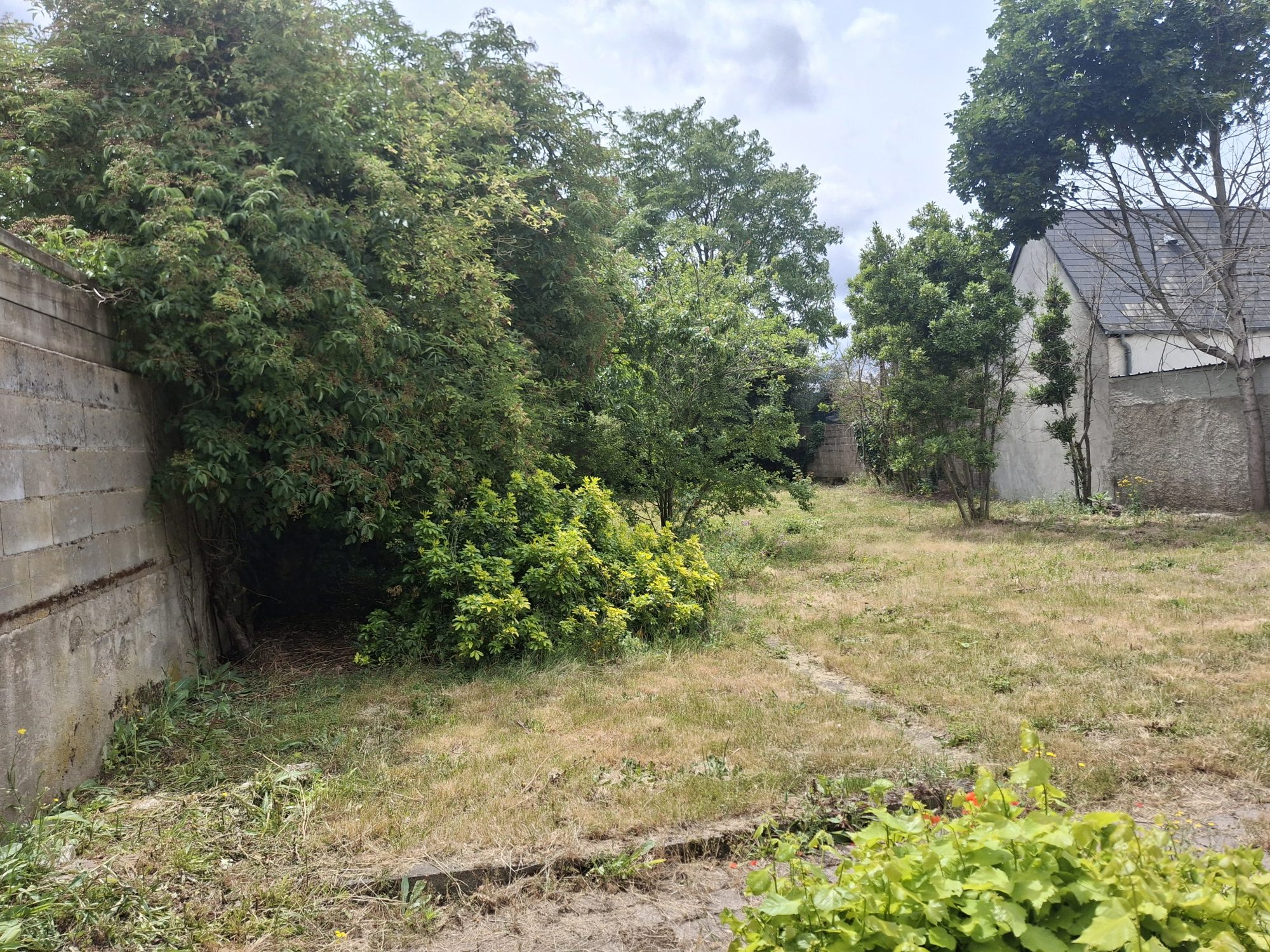Photo 3 — AGENCIMMO