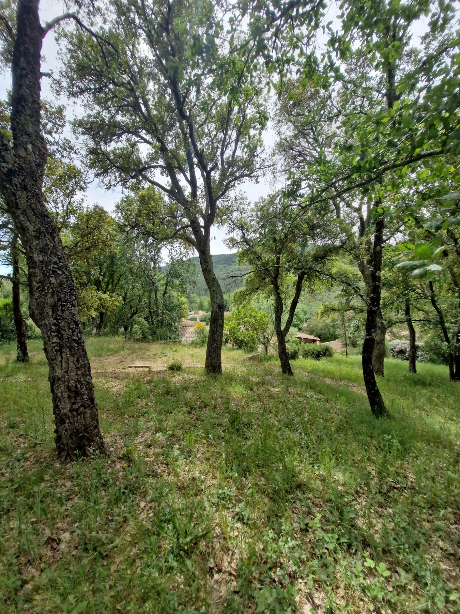 Photo 9 — AGENCIMMO