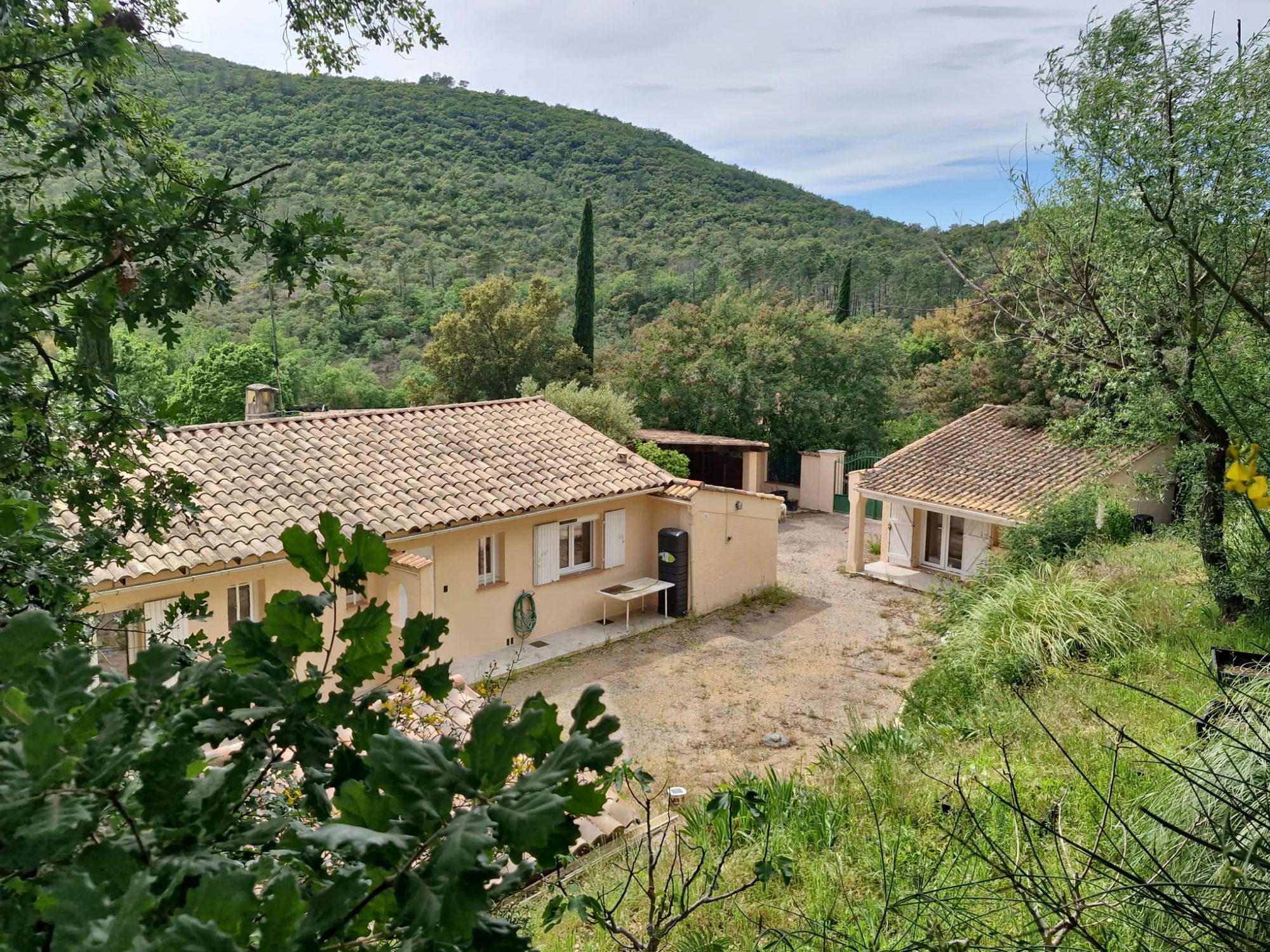 Photo 6 — AGENCIMMO