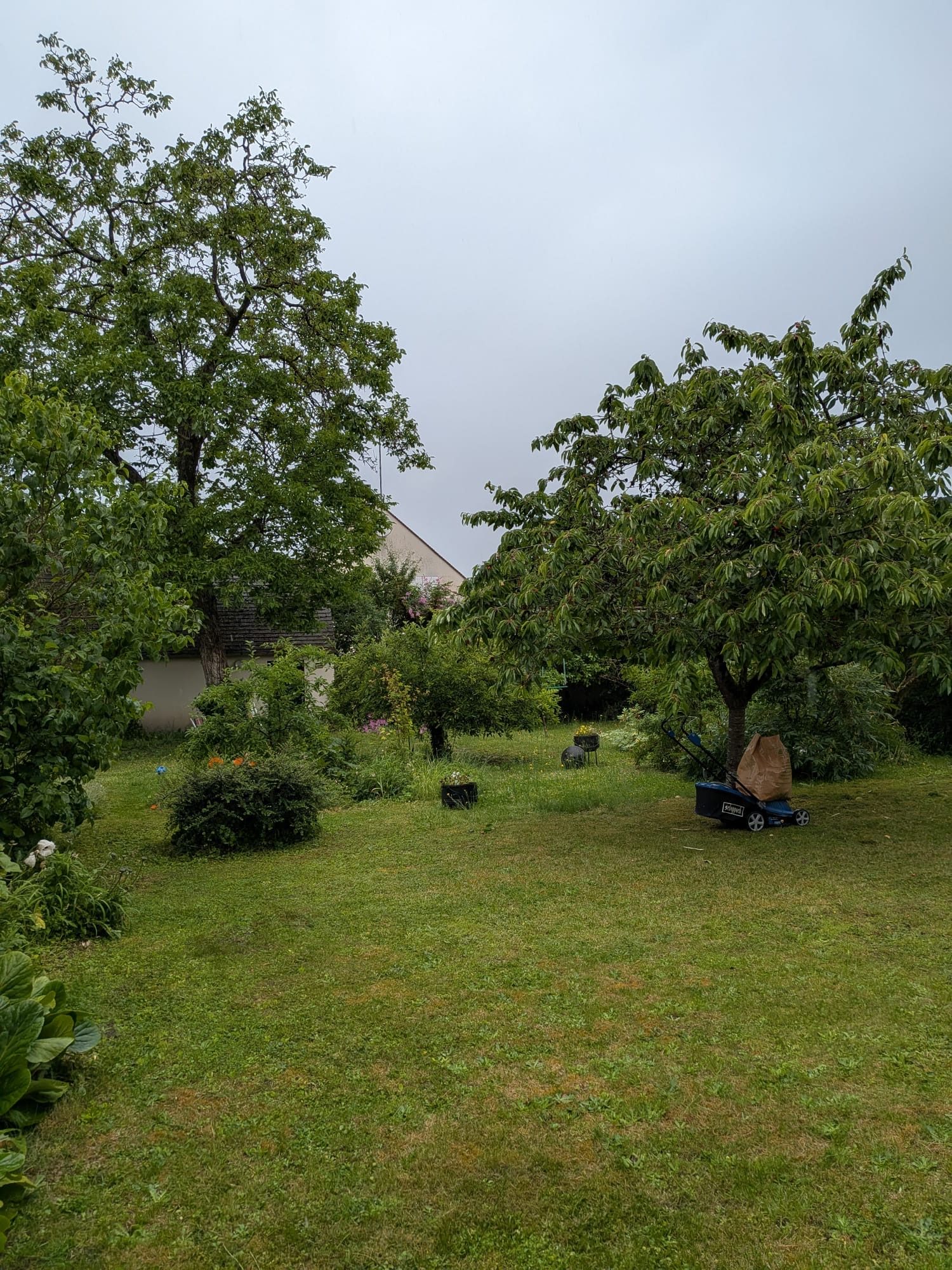 Photo 2 — AGENCIMMO