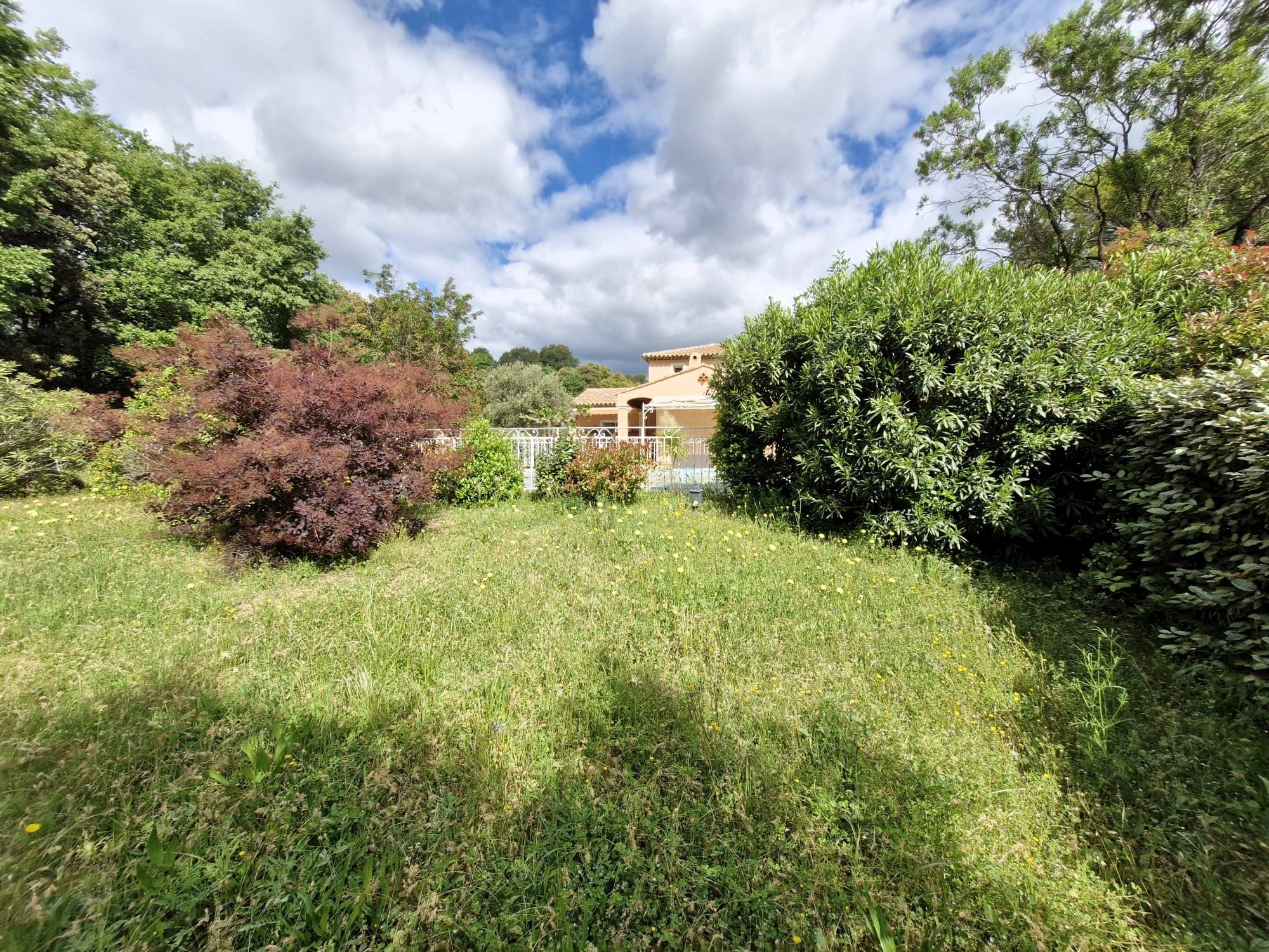 Photo 5 — AGENCIMMO