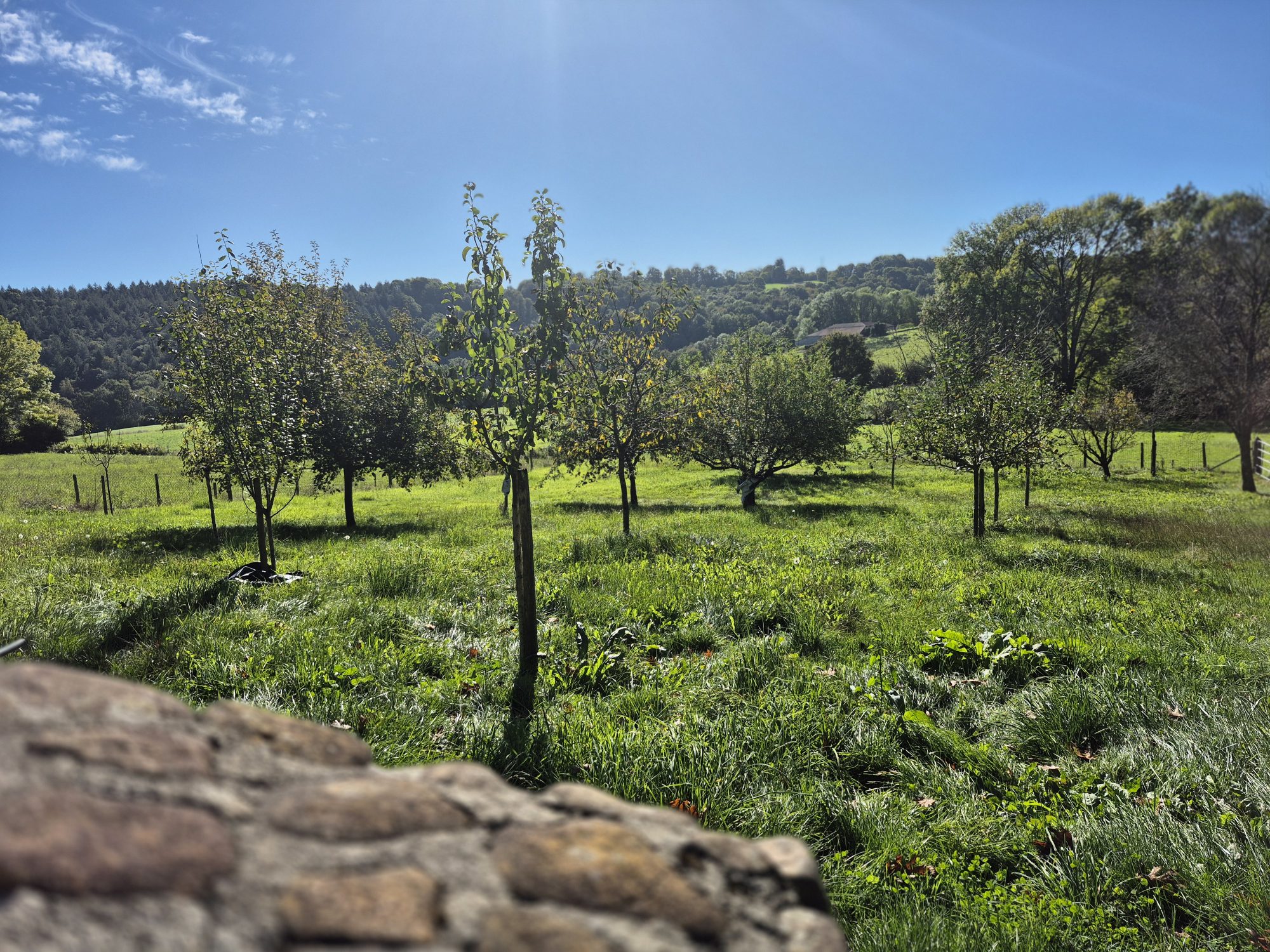 Photo 22 — AGENCIMMO