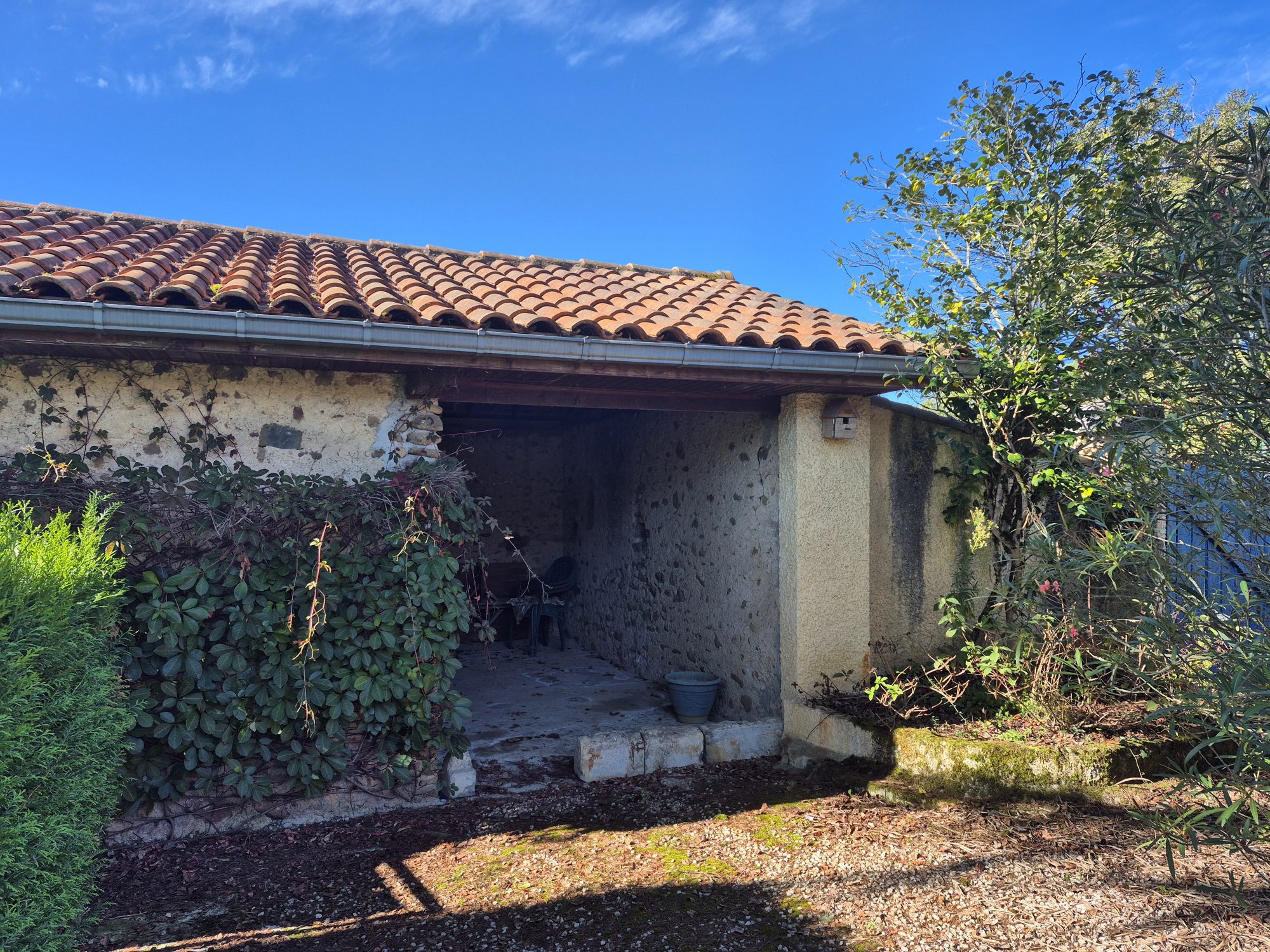 Photo 24 — AGENCIMMO