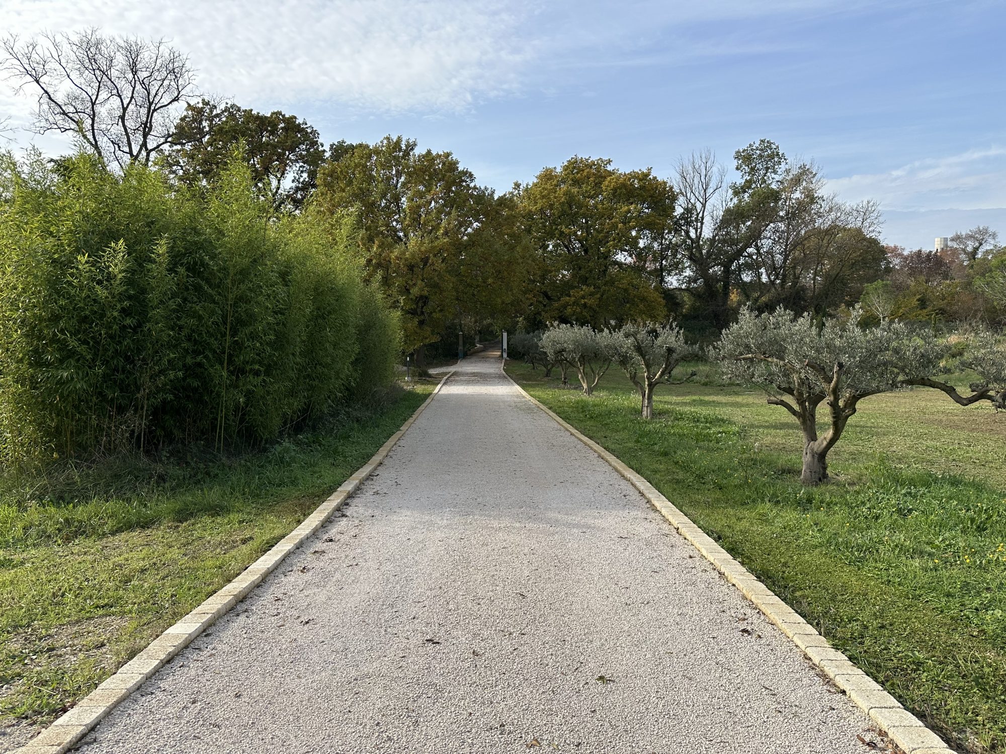 Photo 23 — AGENCIMMO