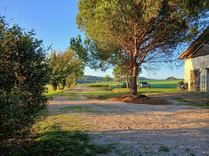 Photo 3 — AGENCIMMO