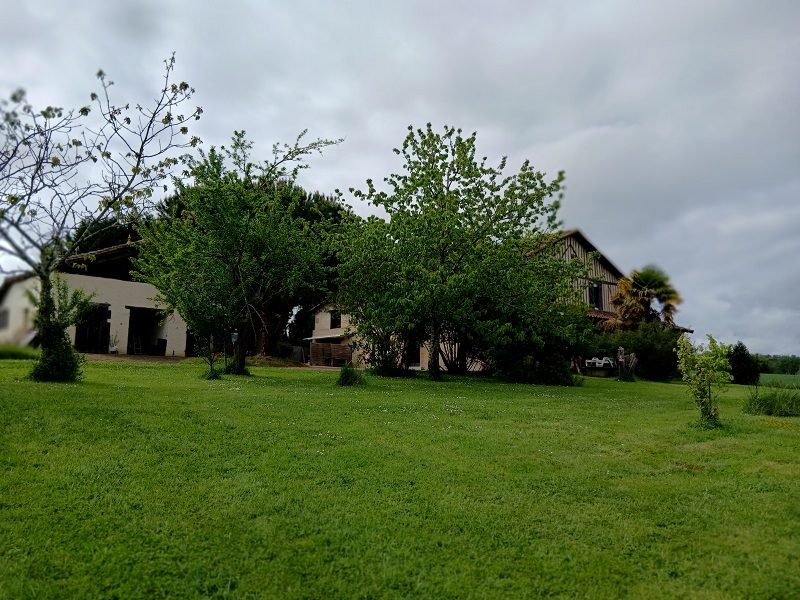 Photo 19 — AGENCIMMO
