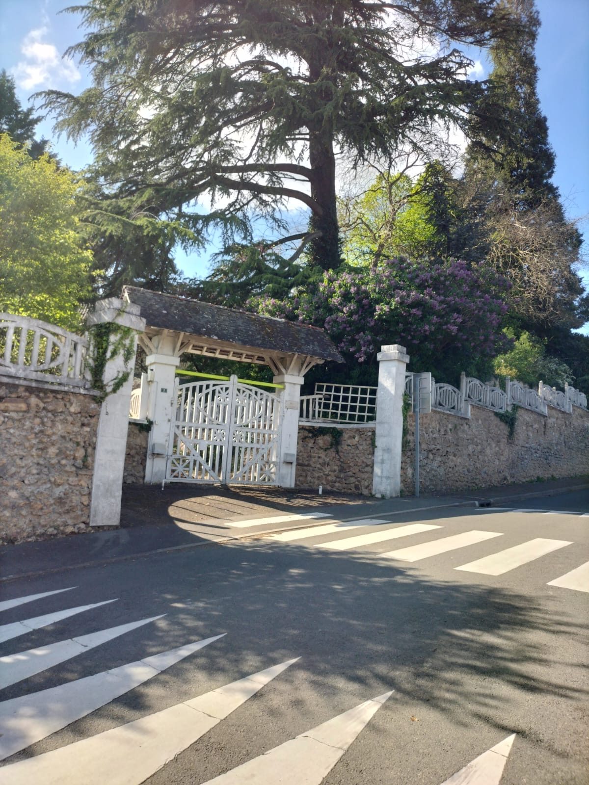 Photo 19 — AGENCIMMO