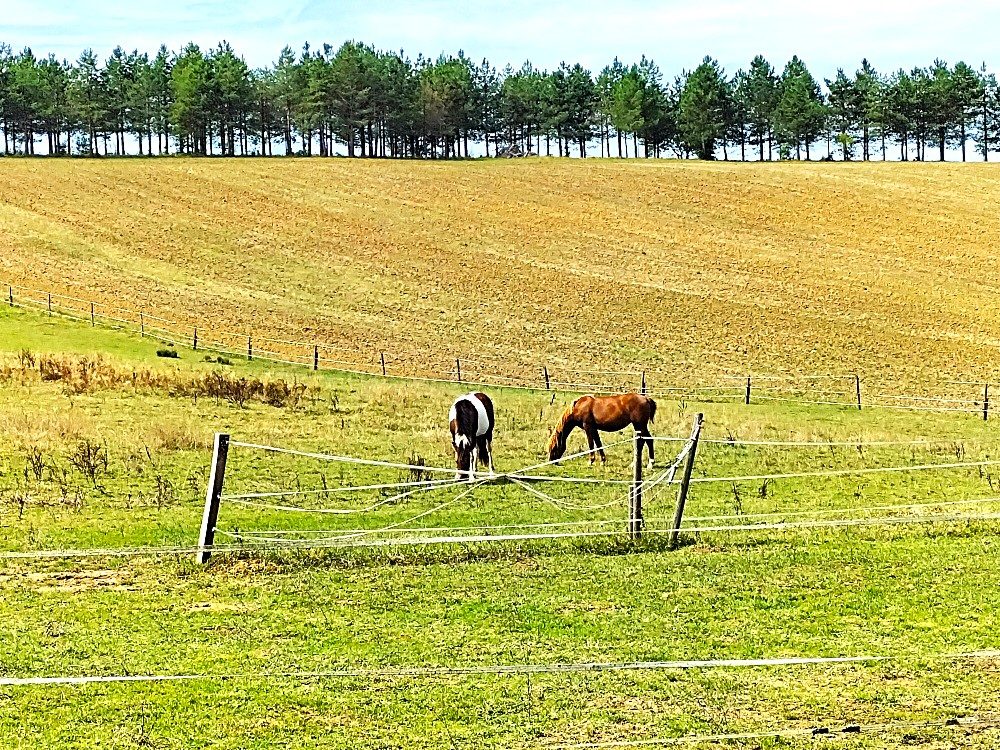 Photo 13 — AGENCIMMO