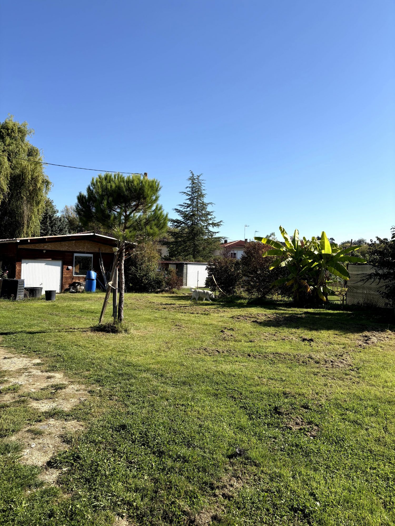 Photo 2 — AGENCIMMO