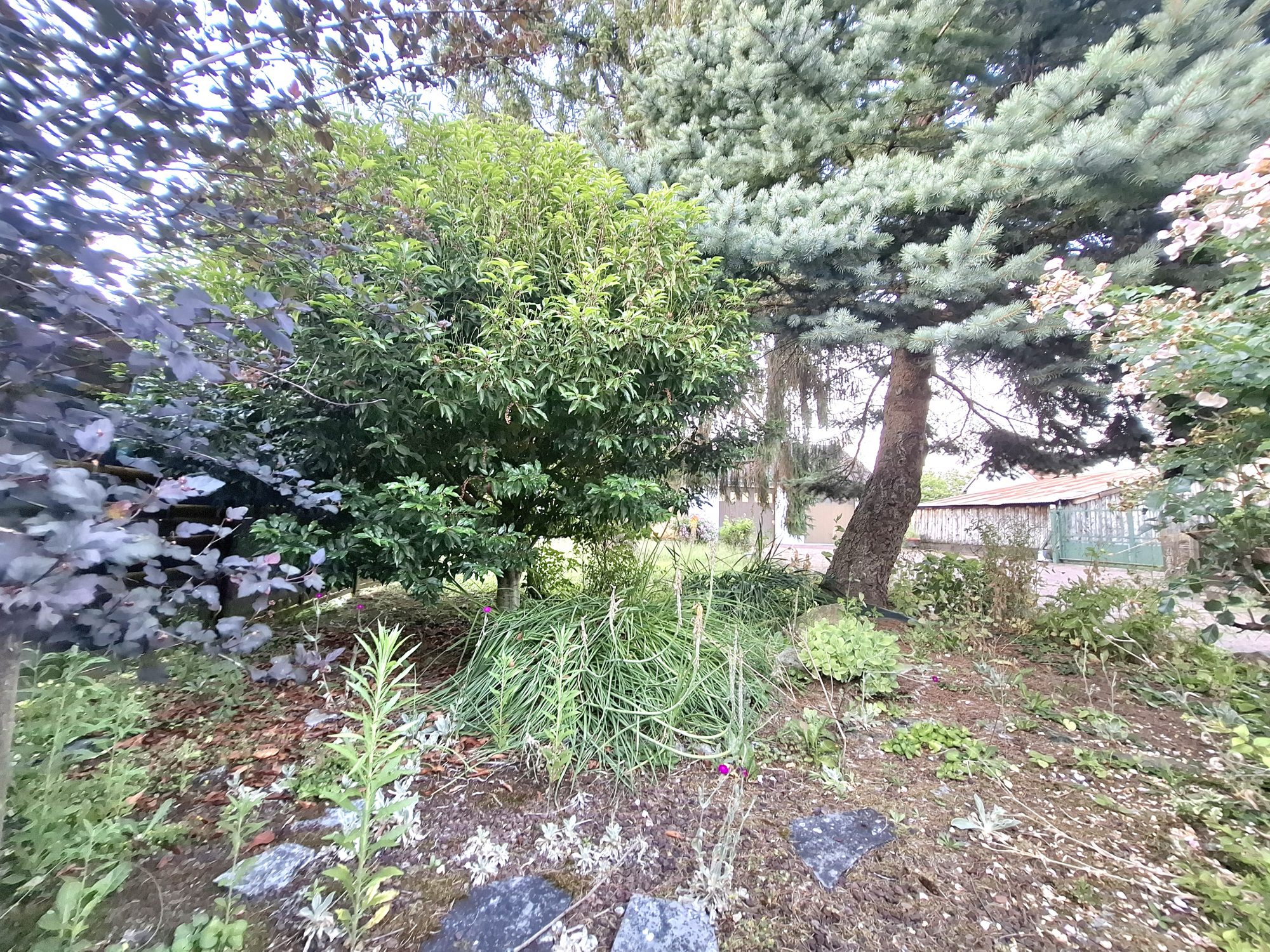 Photo 11 — AGENCIMMO