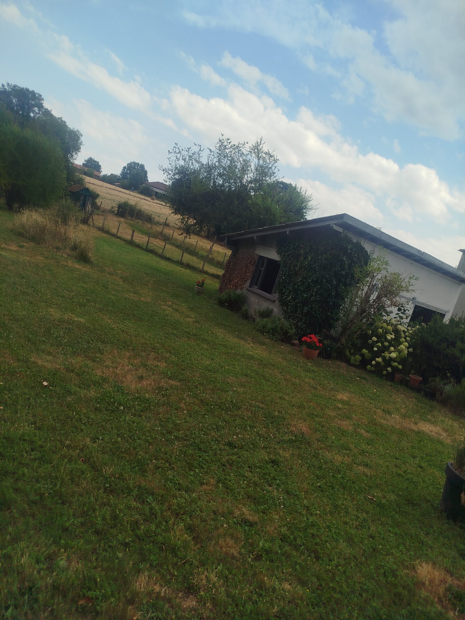 Photo 8 — AGENCIMMO