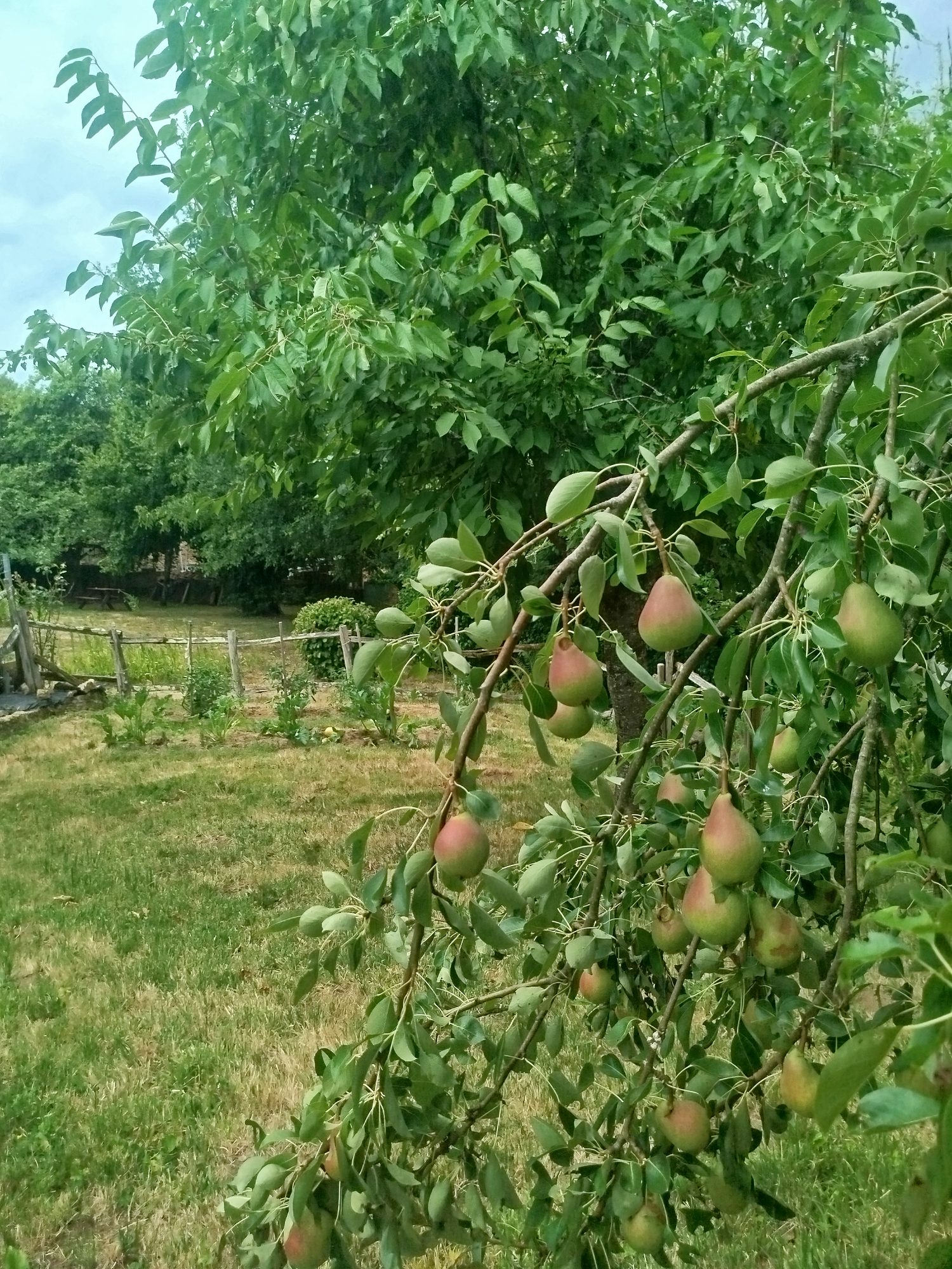 Photo 13 — AGENCIMMO