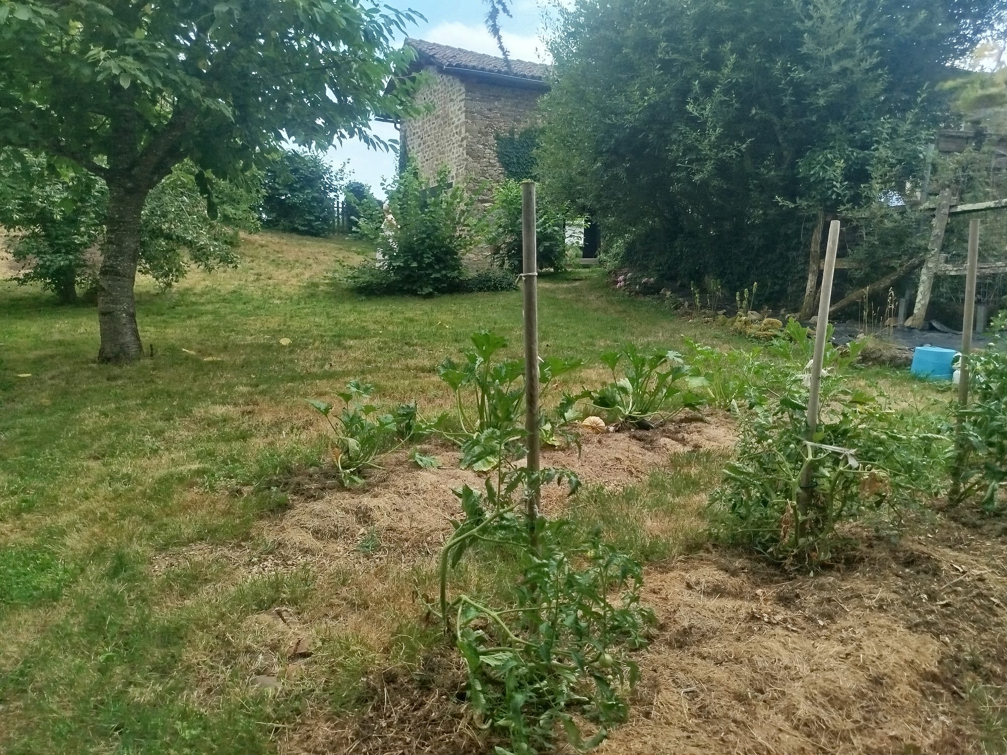 Photo 12 — AGENCIMMO