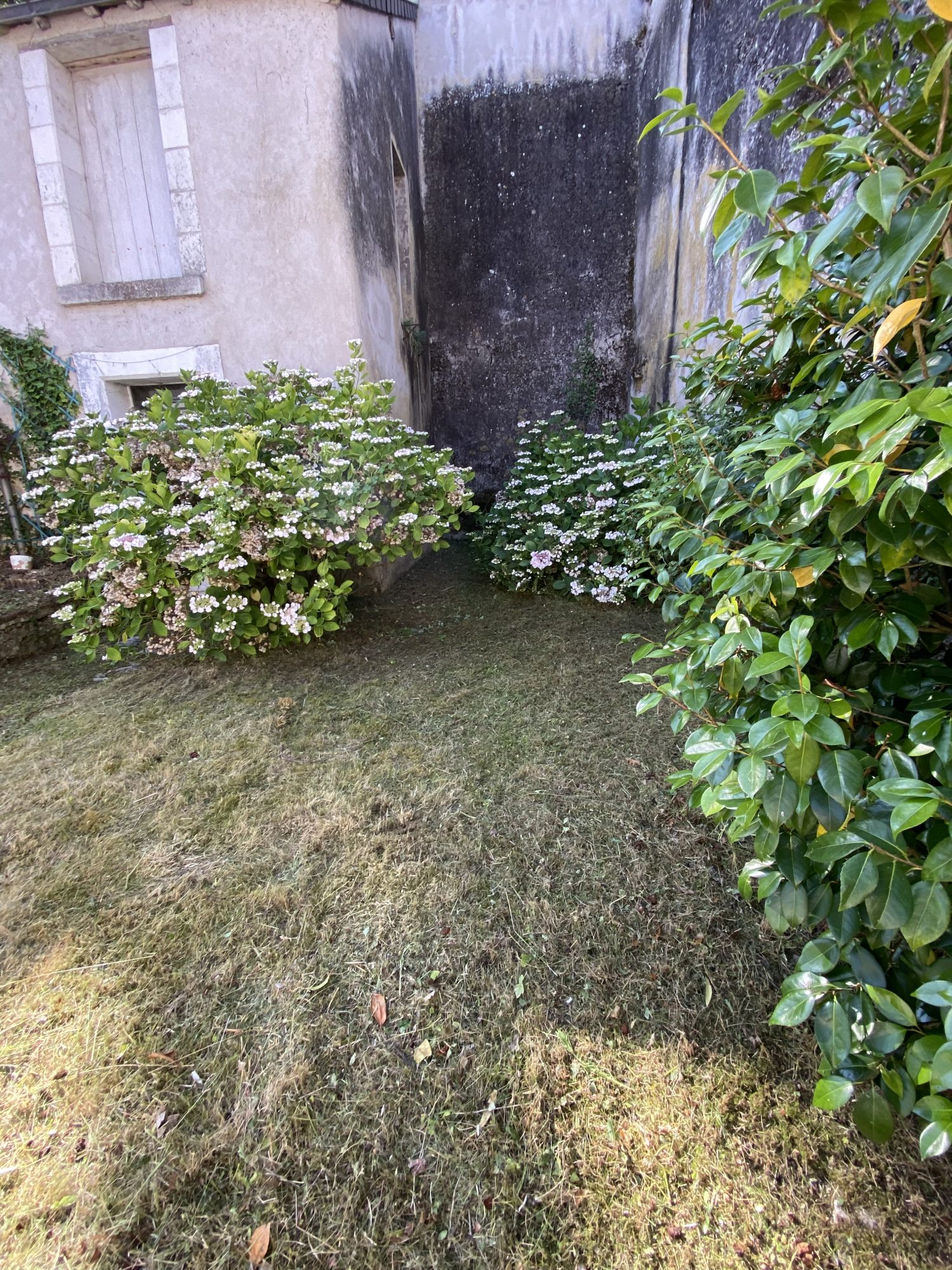 Photo 27 — AGENCIMMO