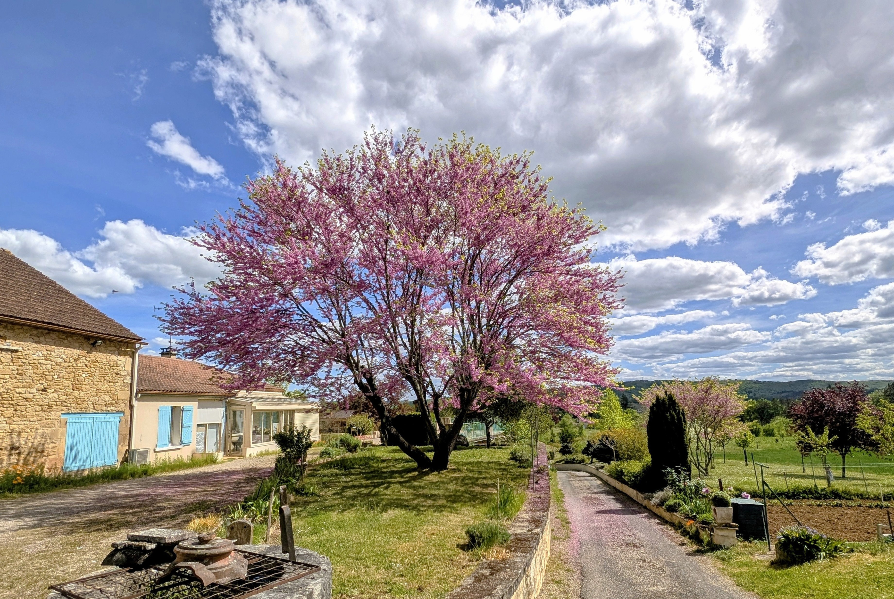 Photo 2 — AGENCIMMO
