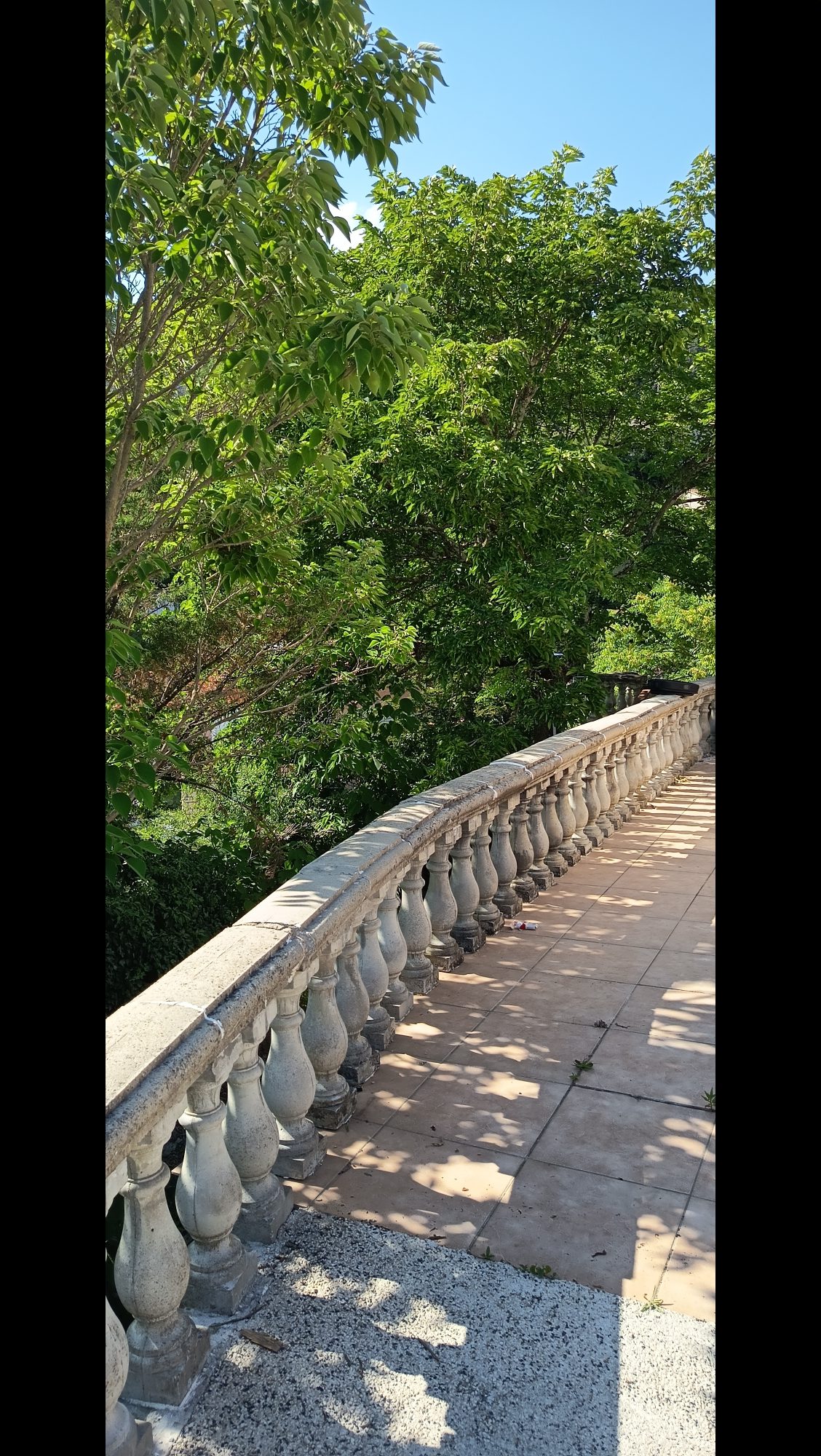 Photo 6 — AGENCIMMO