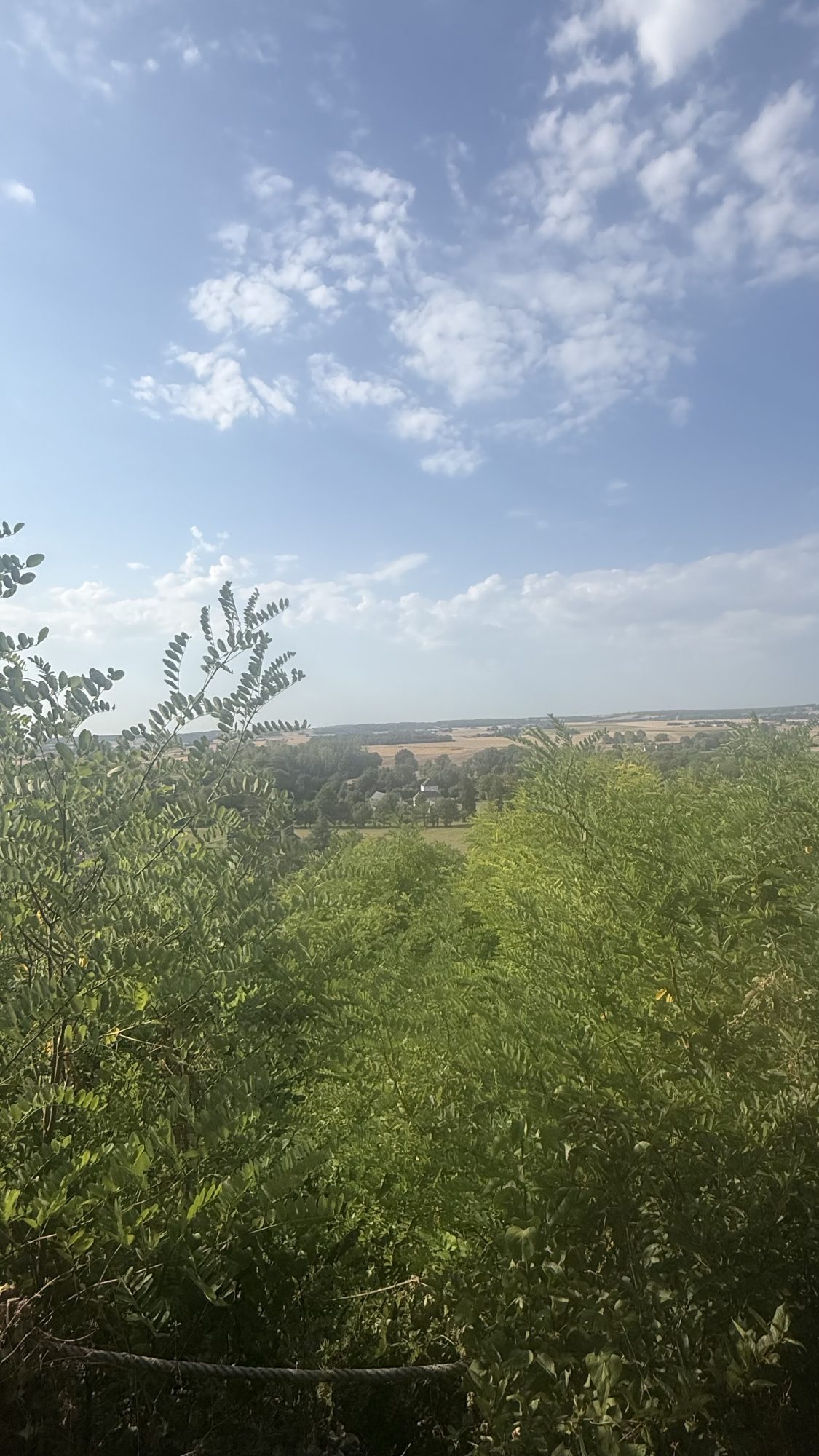 Photo 15 — AGENCIMMO