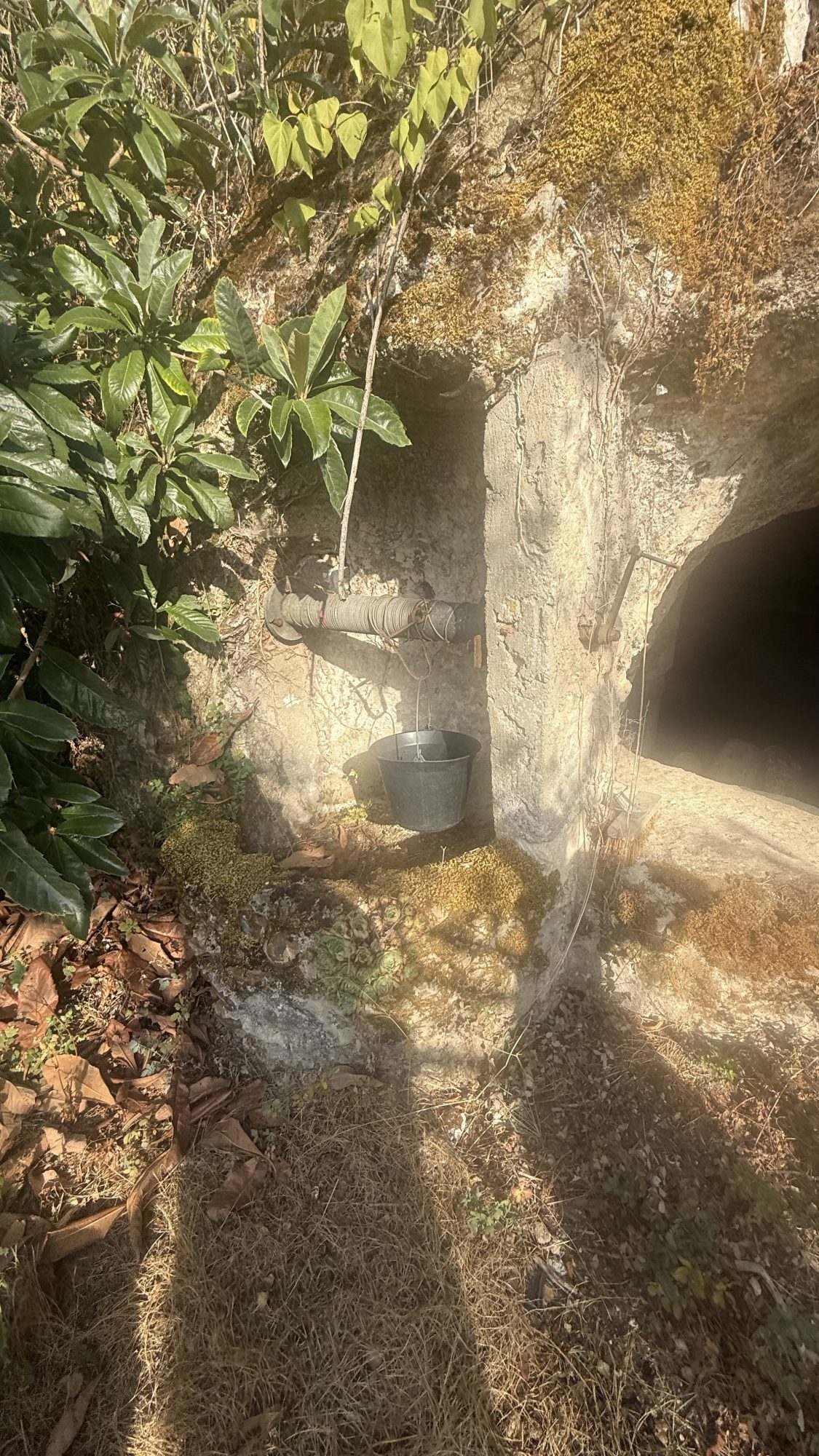 Photo 17 — AGENCIMMO