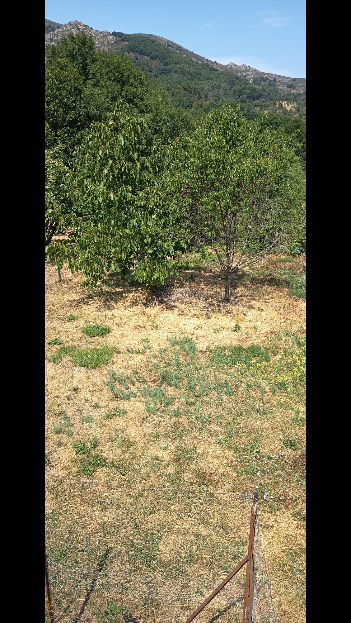 Photo 6 — AGENCIMMO