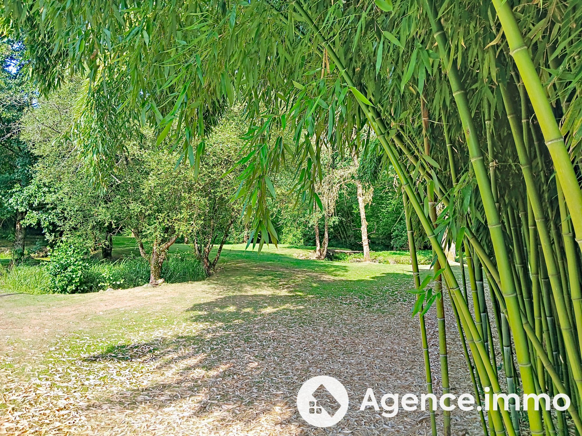 Photo 8 — AGENCIMMO