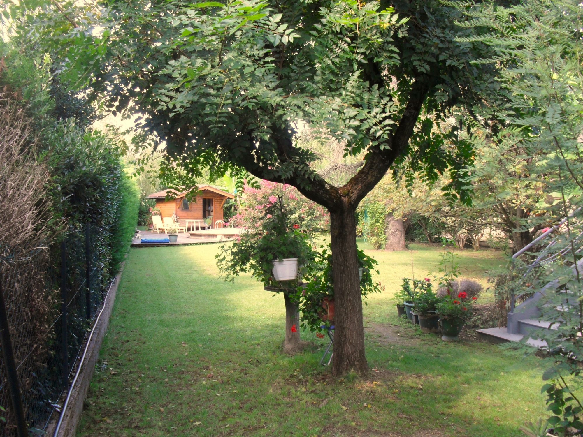 Photo 18 — AGENCIMMO