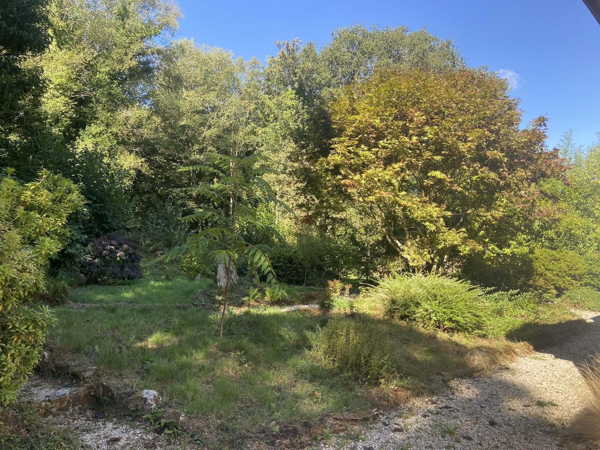 Photo 17 — AGENCIMMO