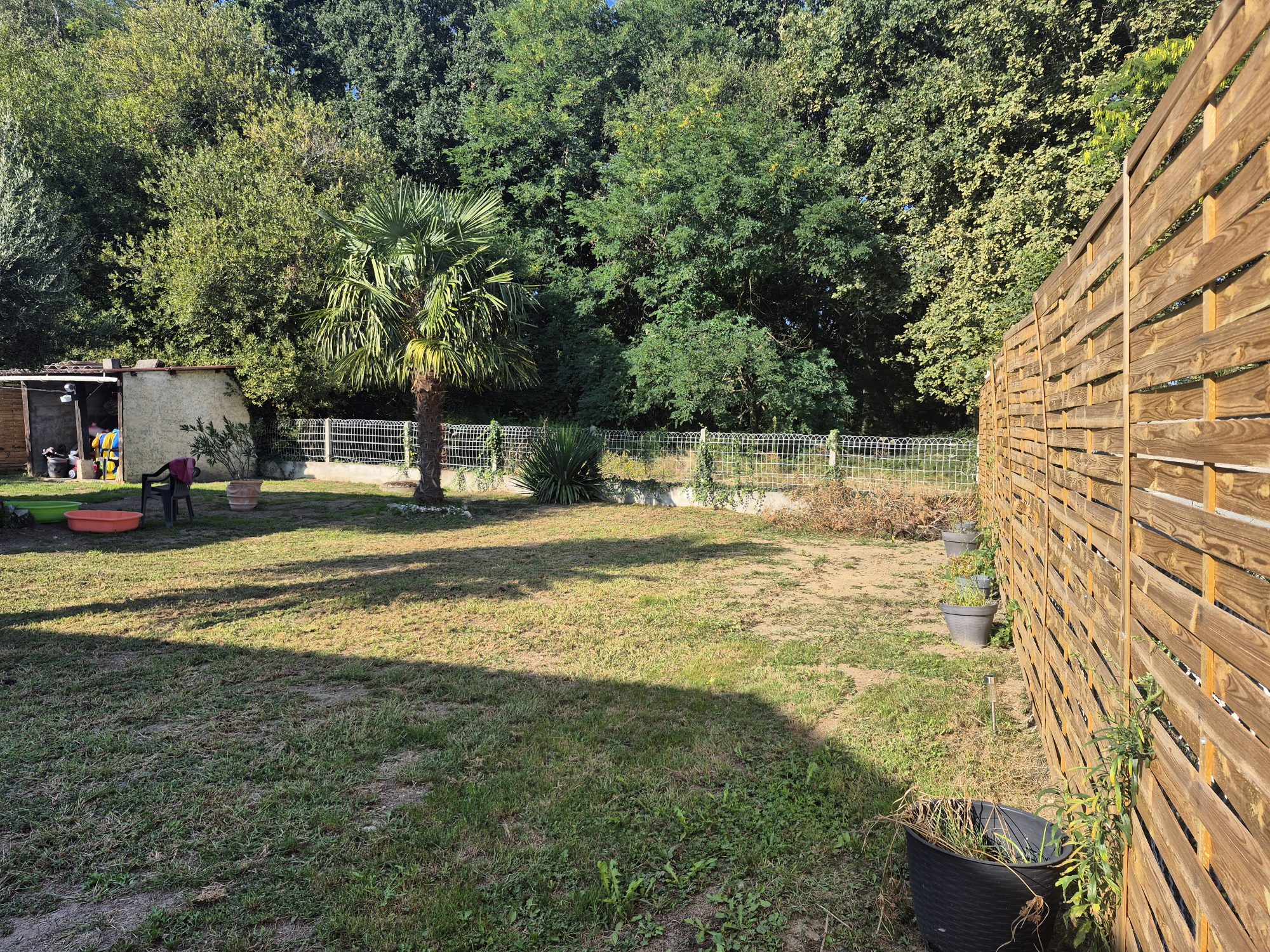 Photo 16 — AGENCIMMO