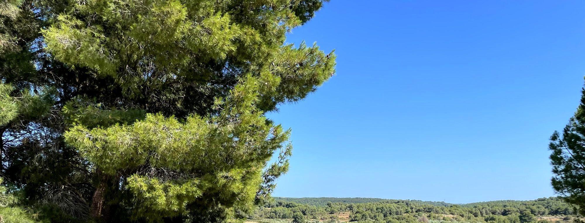 Photo 2 — AGENCIMMO