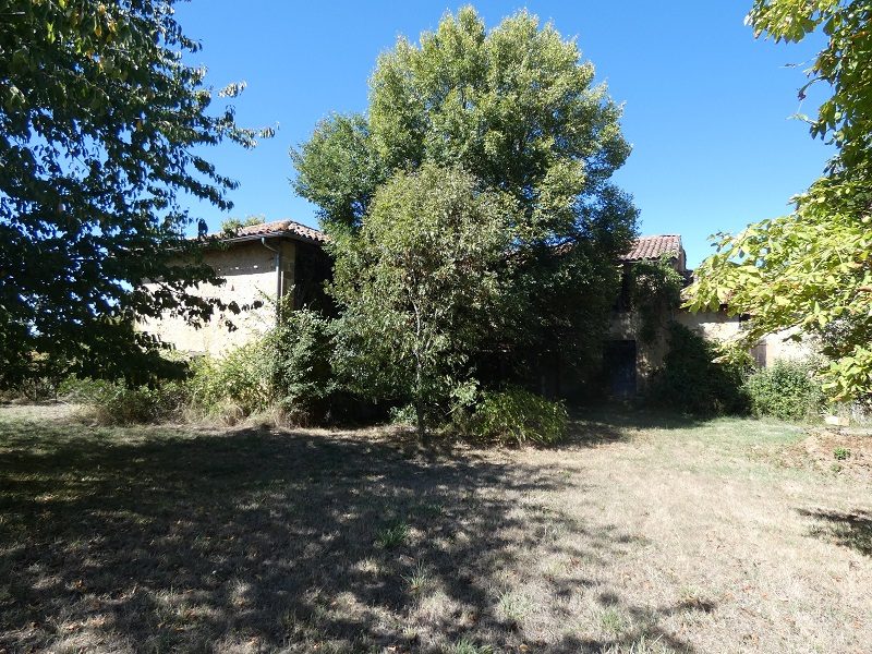 Photo 17 — AGENCIMMO