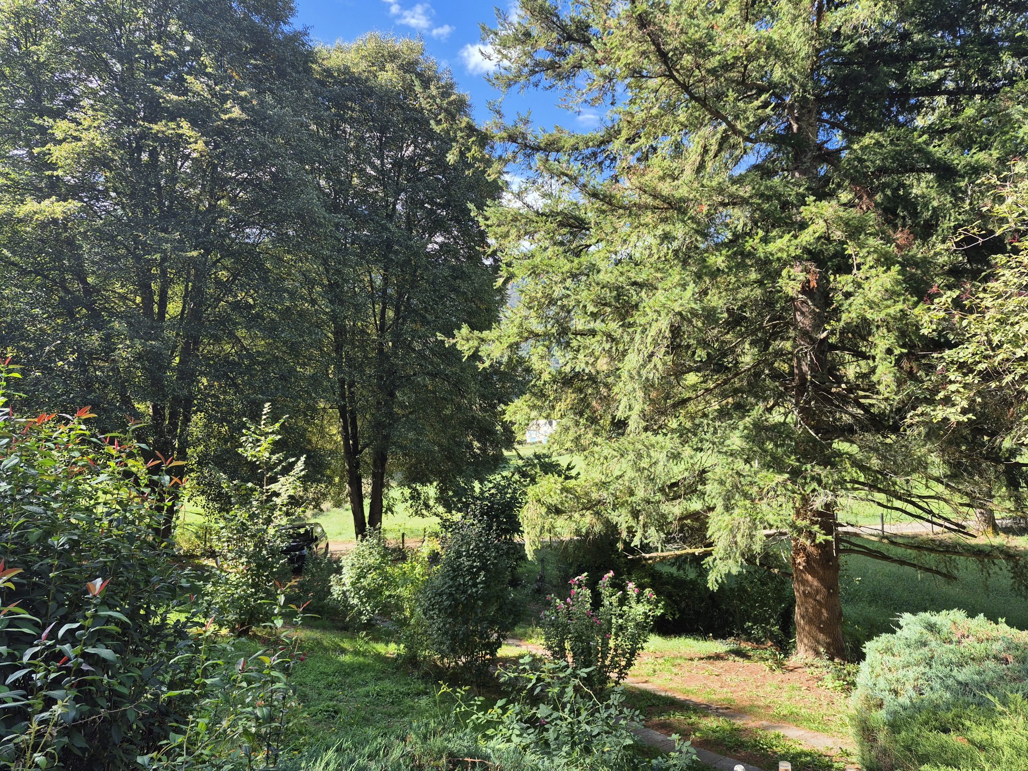 Photo 21 — AGENCIMMO