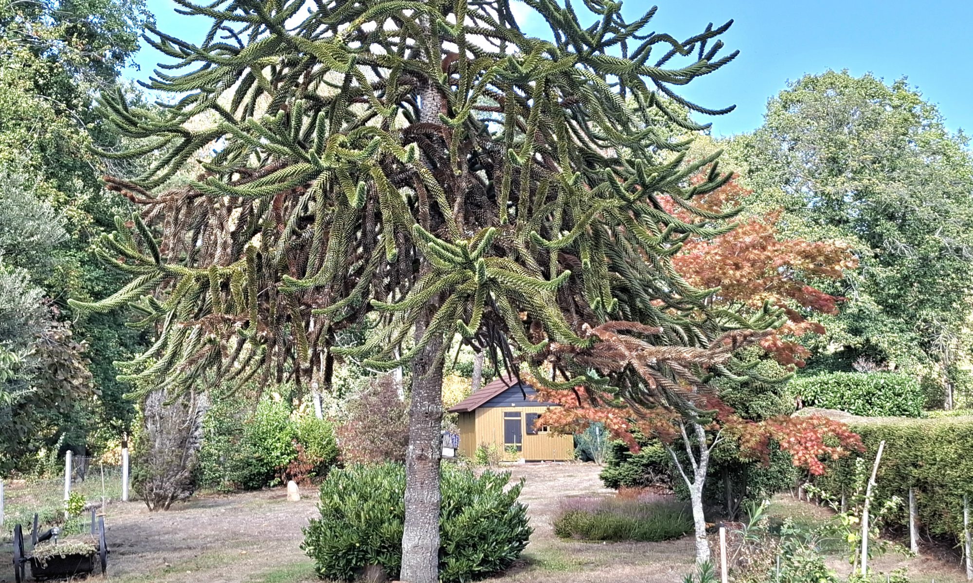 Photo 16 — AGENCIMMO