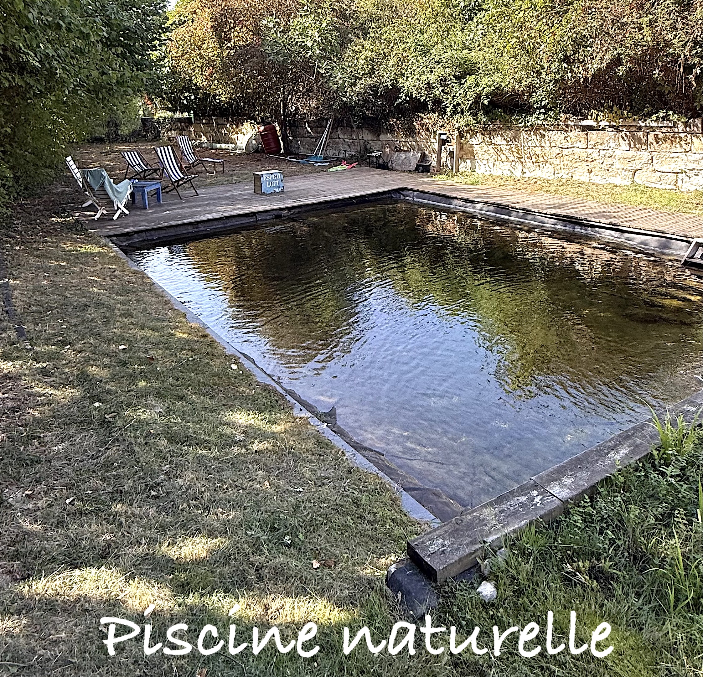 Photo 21 — AGENCIMMO
