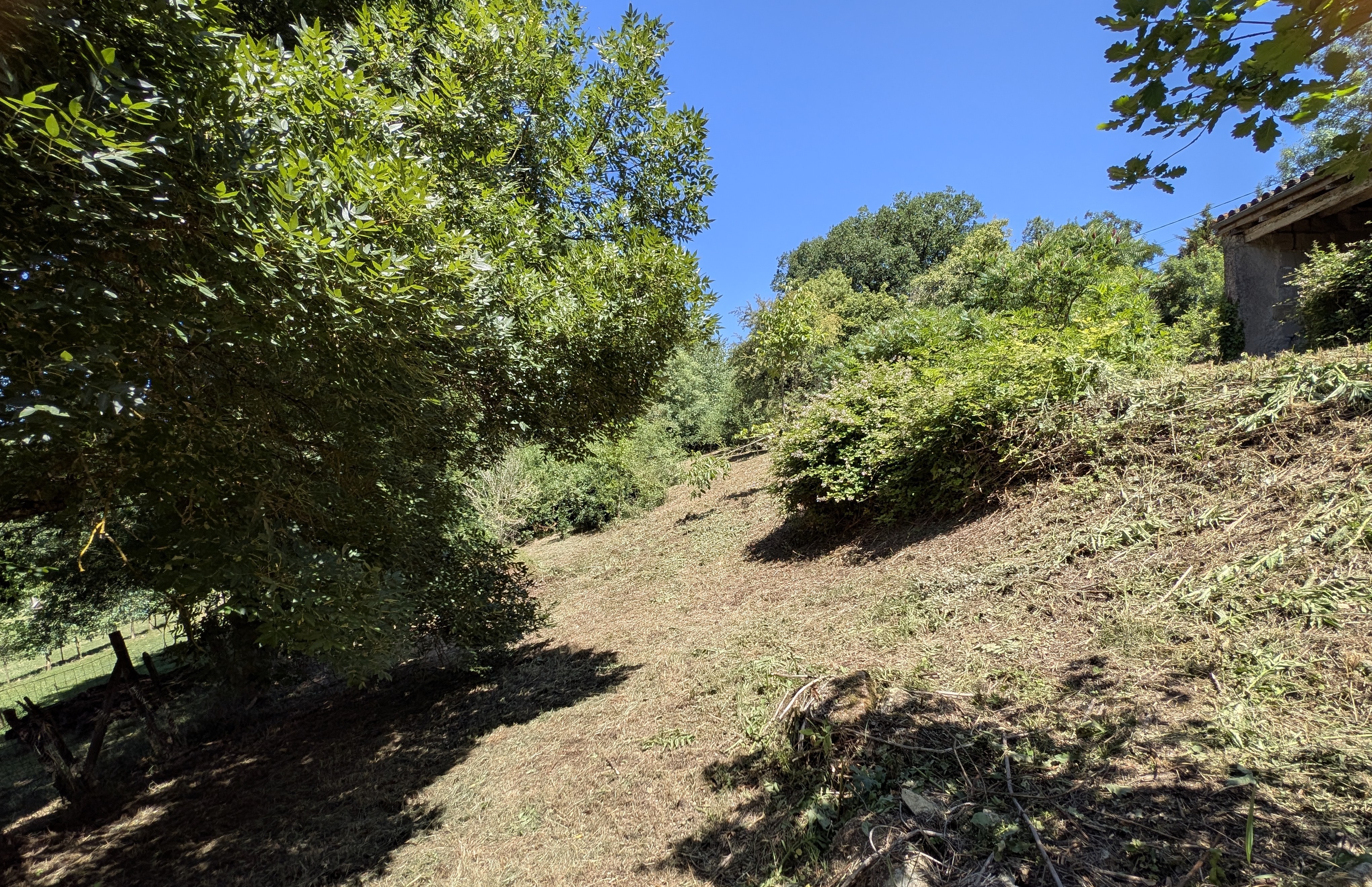Photo 19 — AGENCIMMO